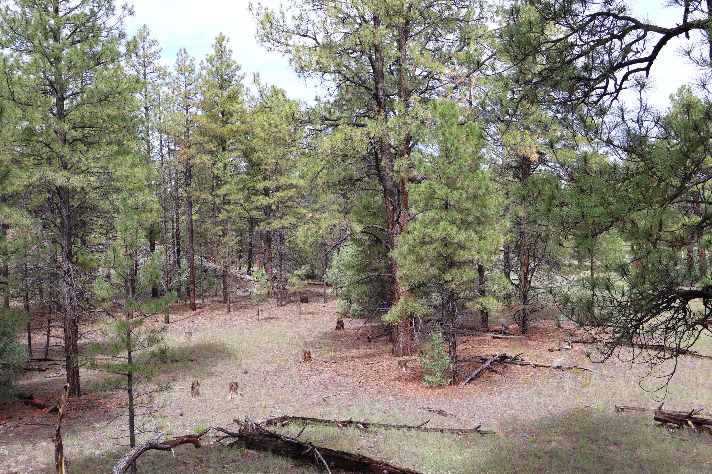 Lot 44 Rhyolite Road Lot 44