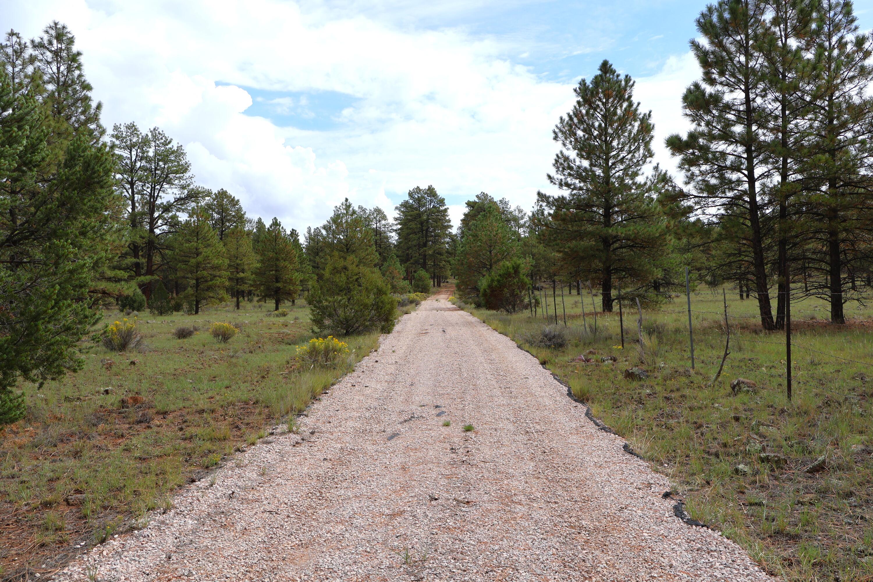 Lot 44 Rhyolite Road Lot 44