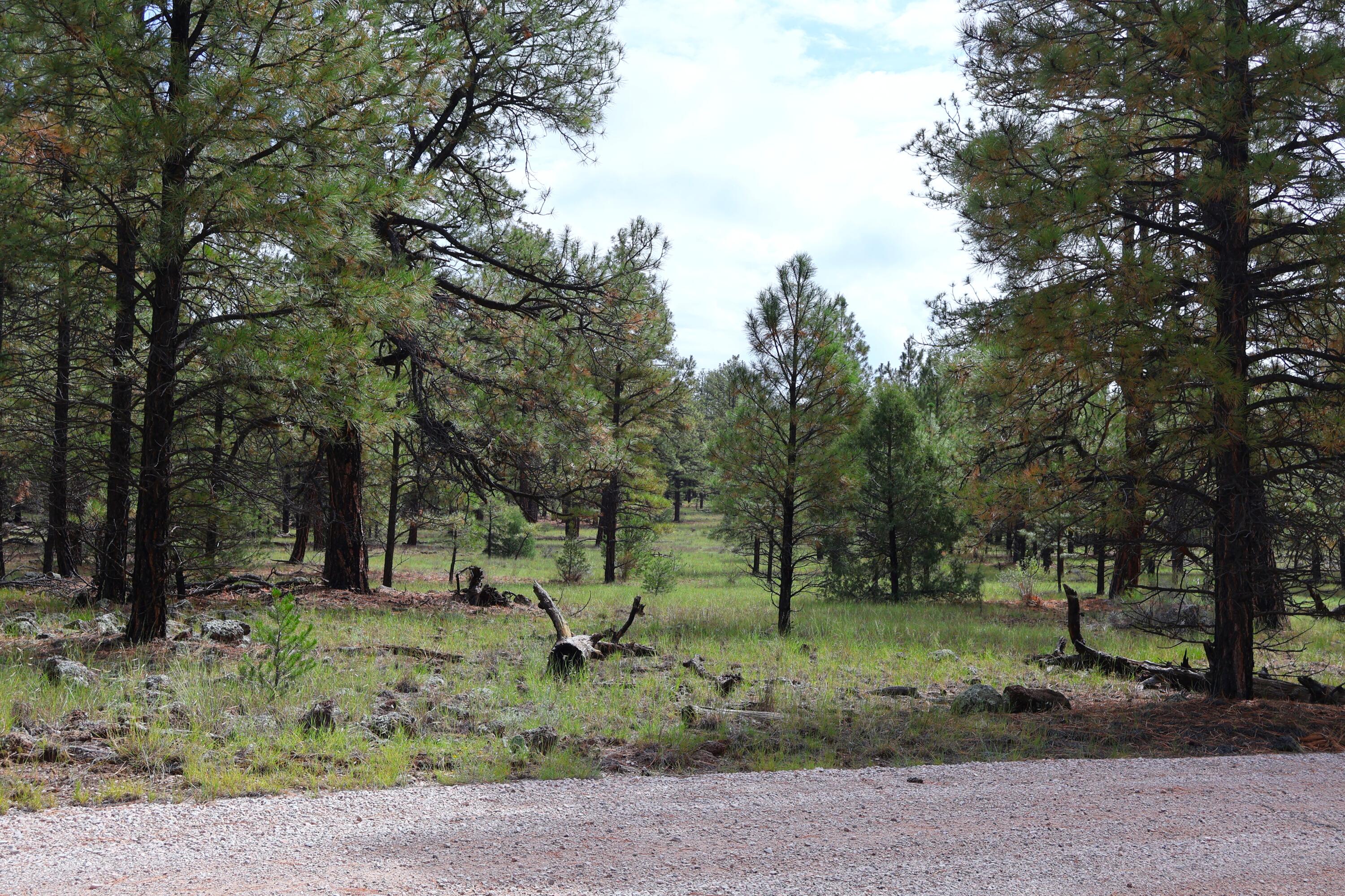 Lot 44 Rhyolite Road Lot 44