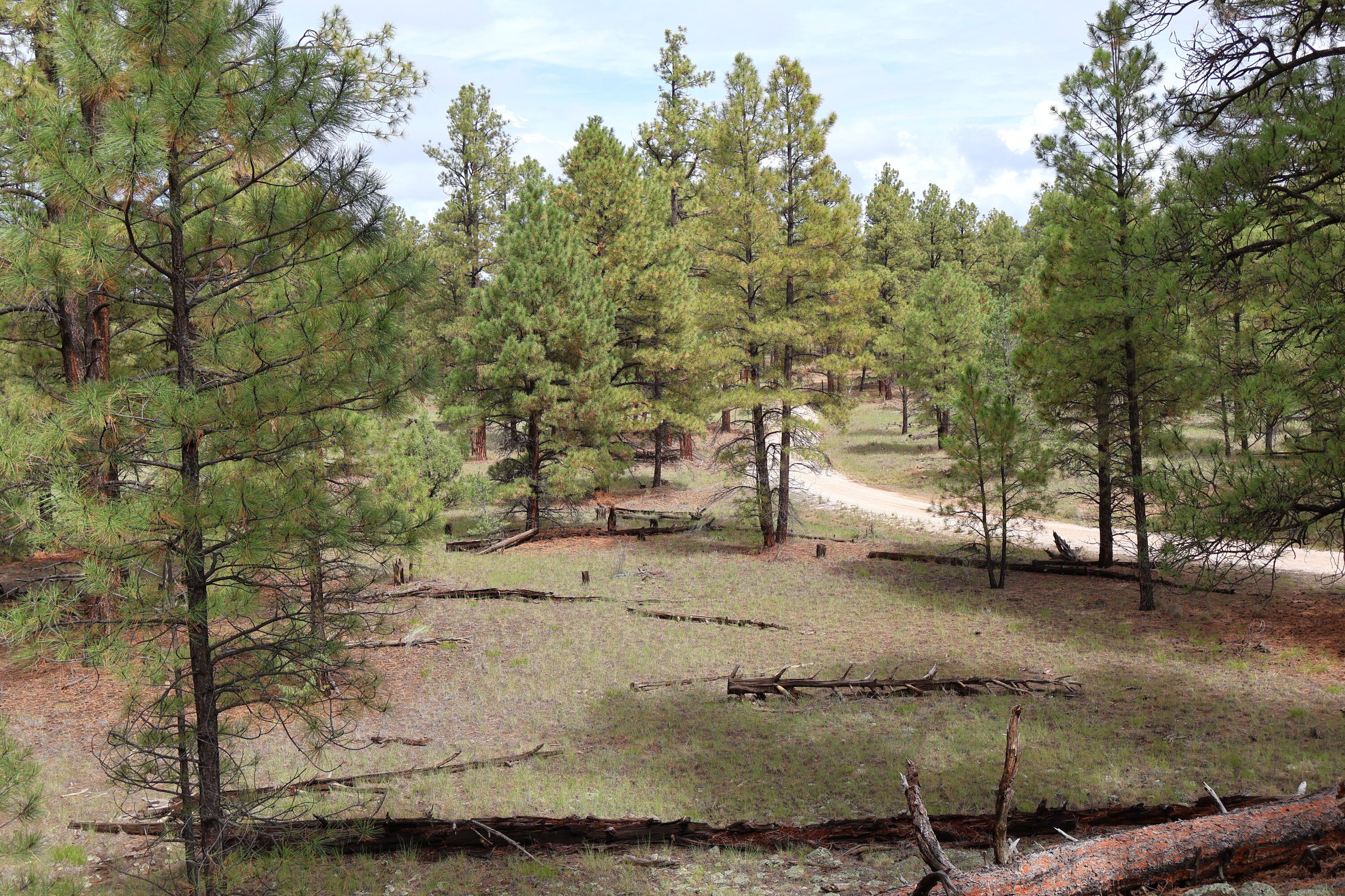 Lot 44 Rhyolite Road Lot 44