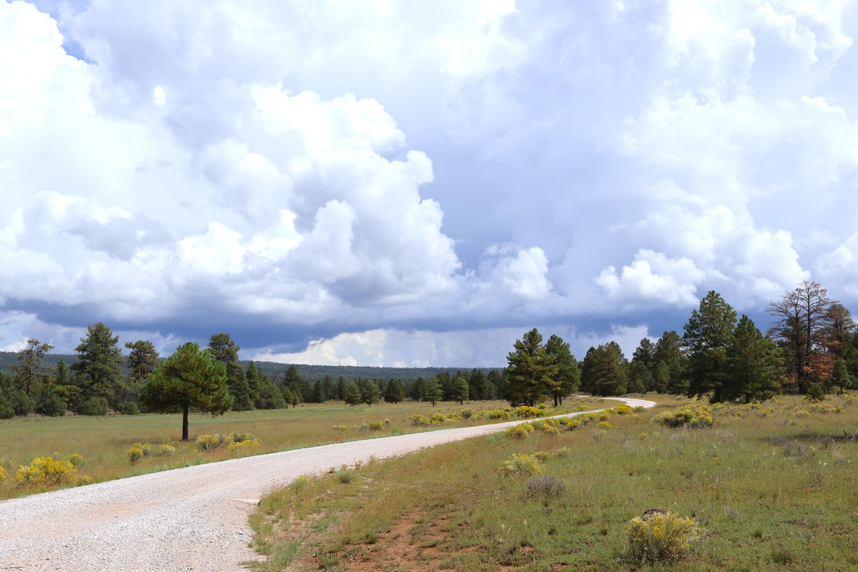 Lot 44 Rhyolite Road Lot 44