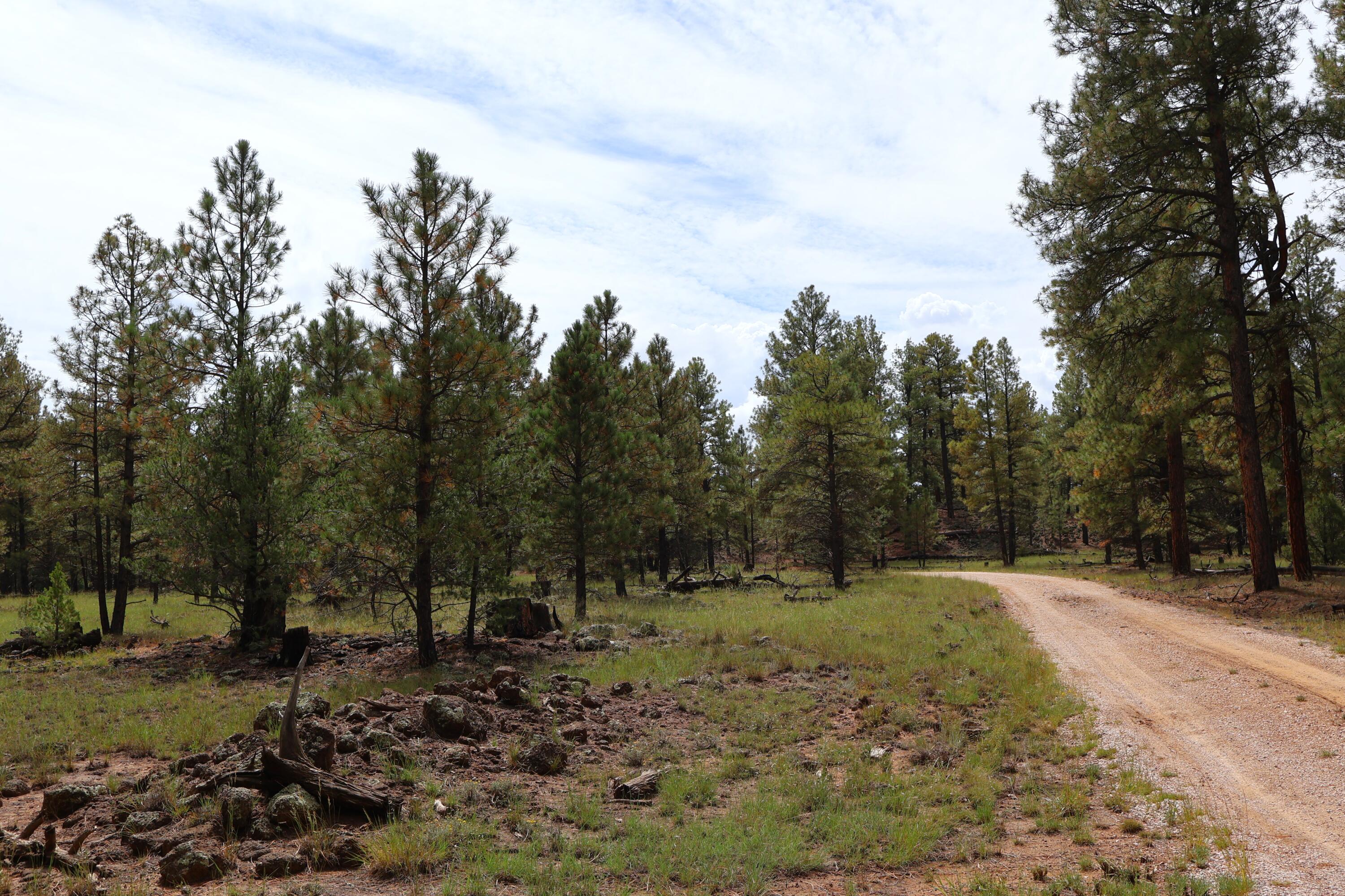 Lot 44 Rhyolite Road Lot 44
