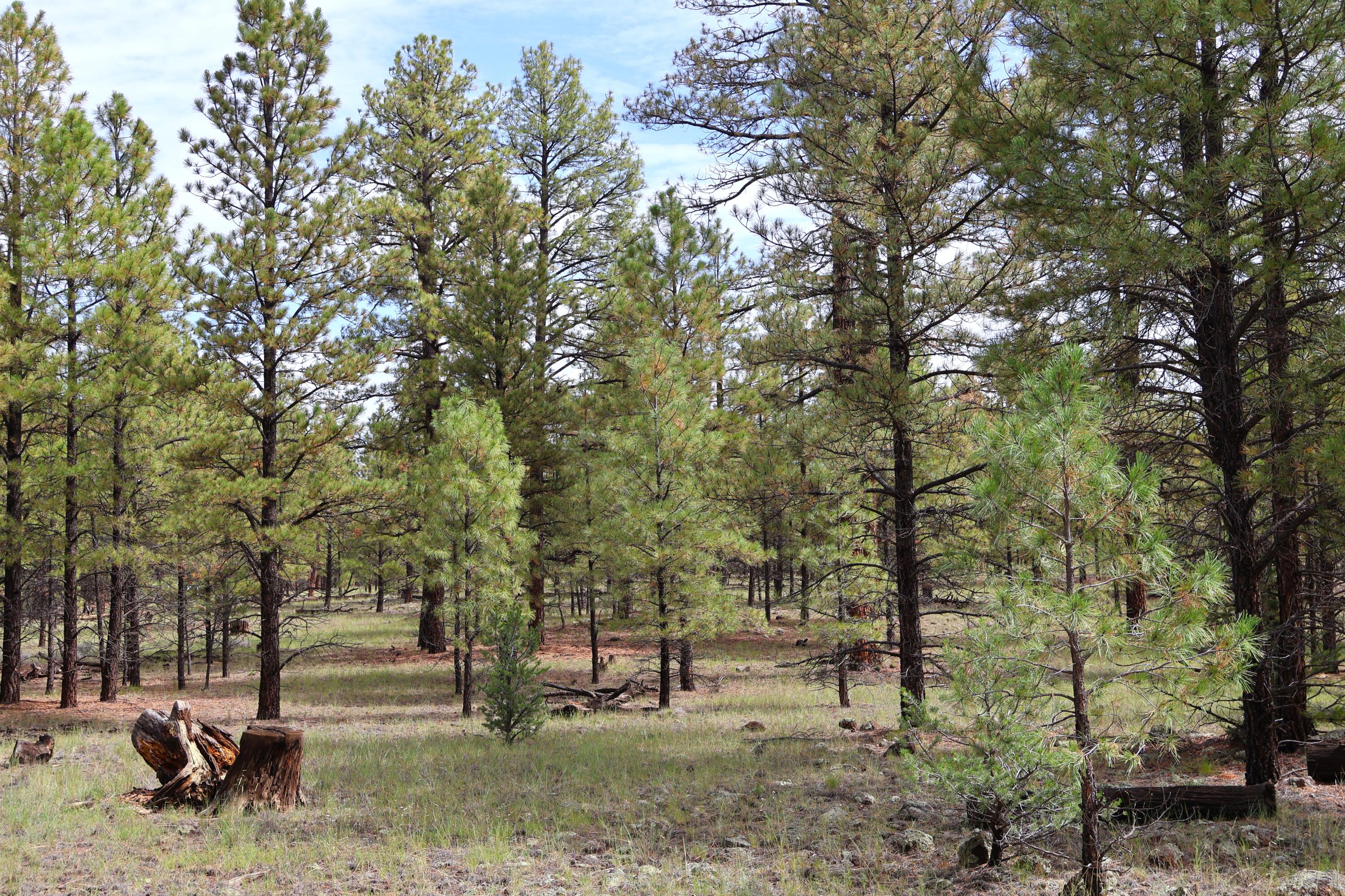Lot 44 Rhyolite Road Lot 44