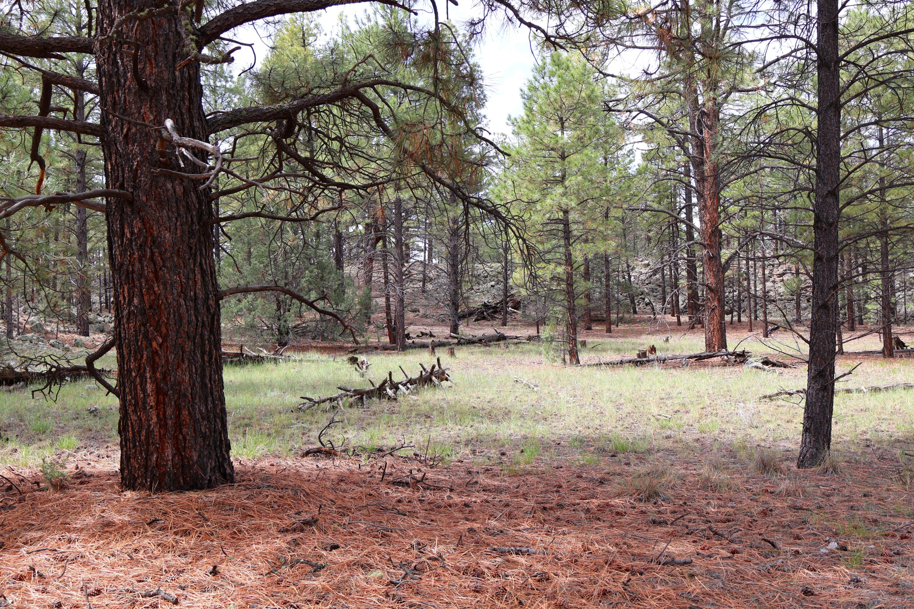 Lot 44 Rhyolite Road Lot 44