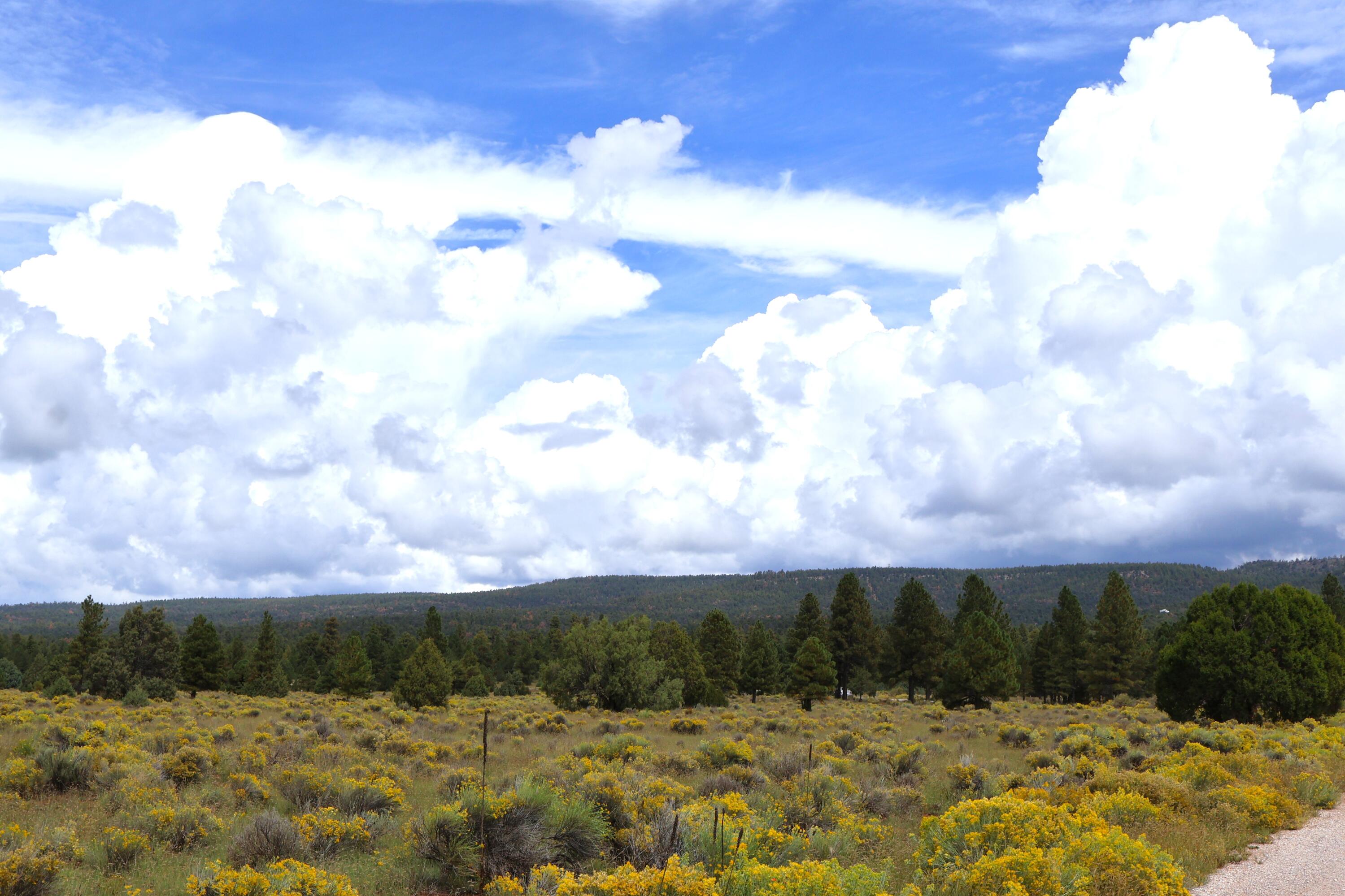 Lot 44 Rhyolite Road Lot 44