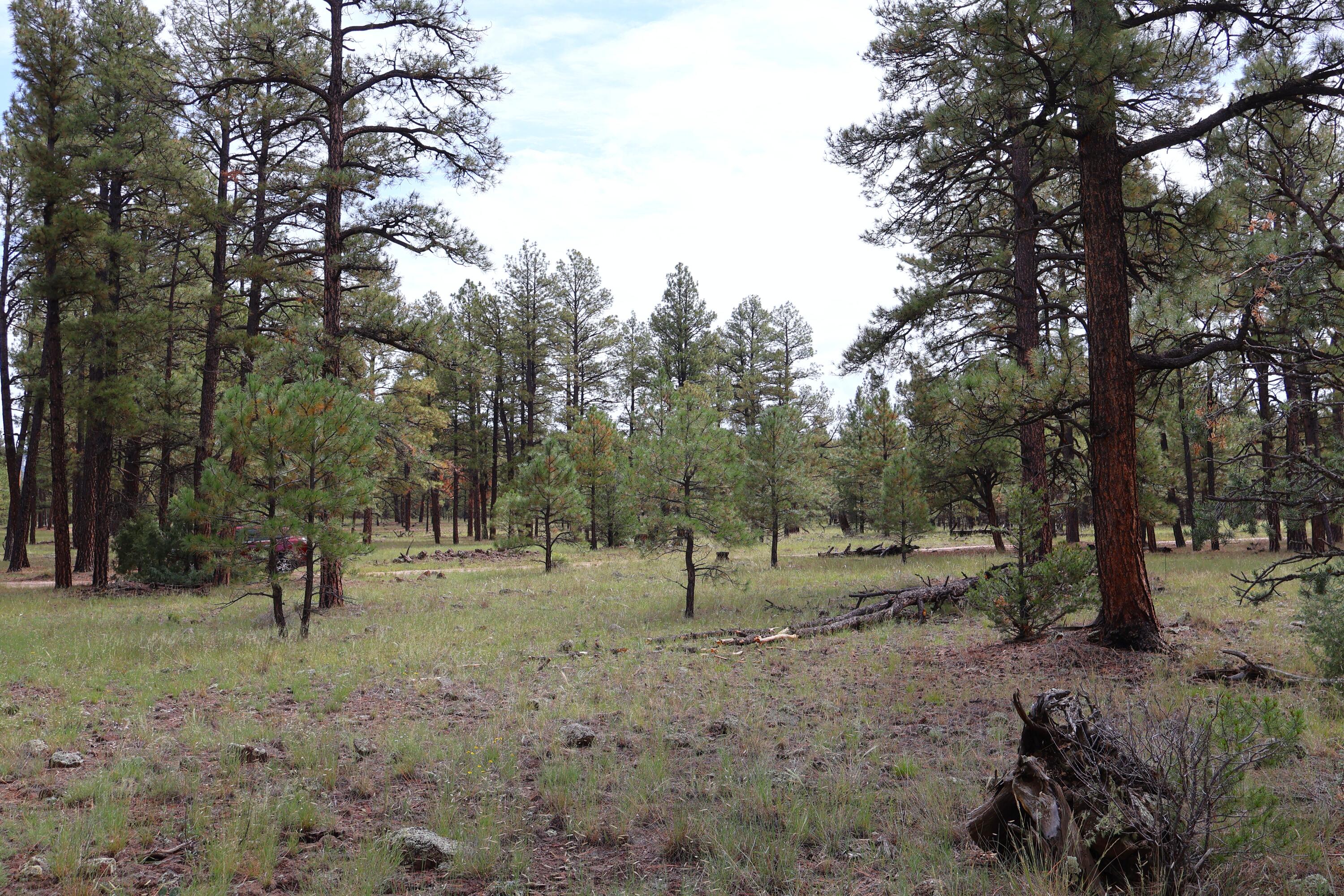 Lot 44 Rhyolite Road Lot 44