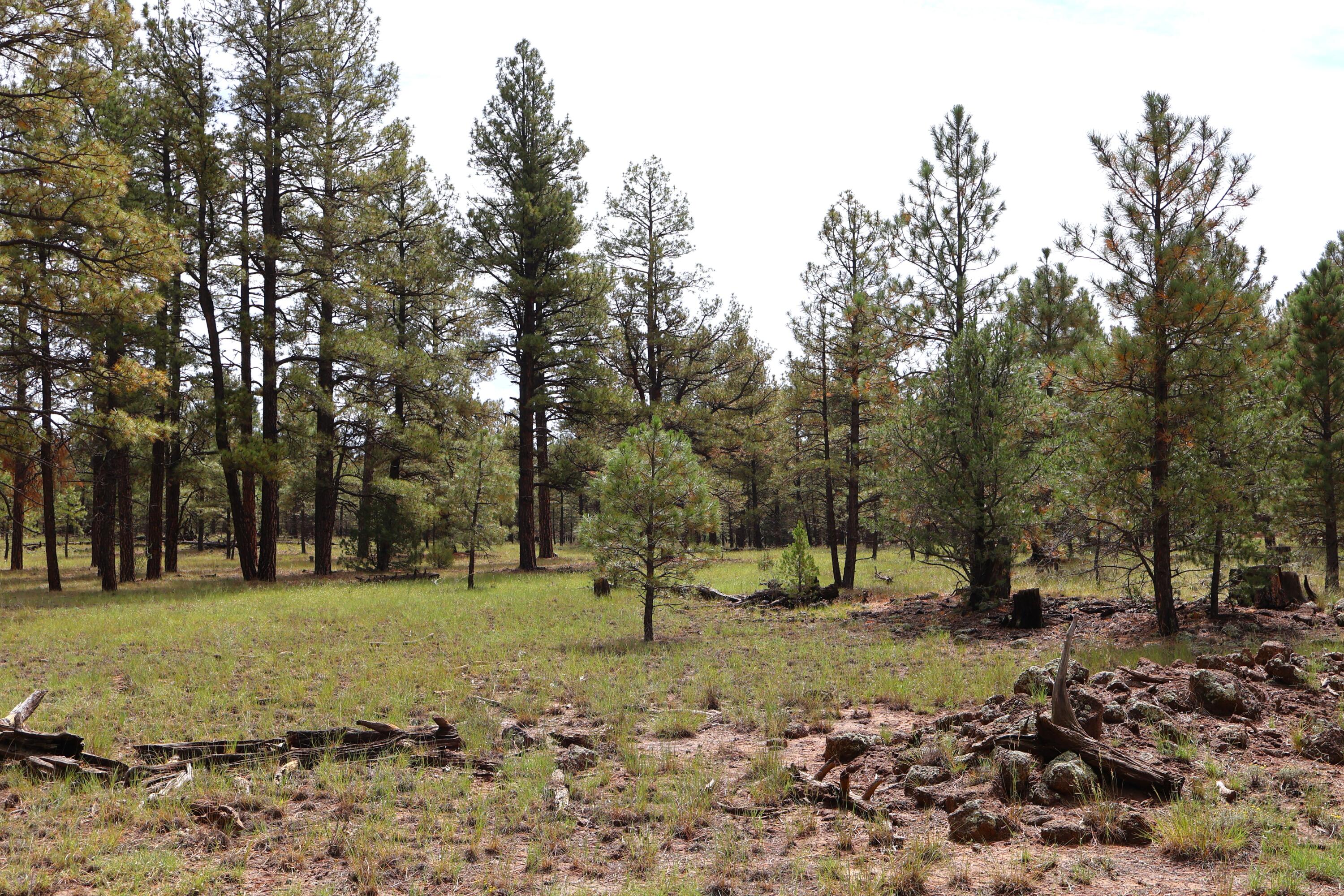 Lot 44 Rhyolite Road Lot 44