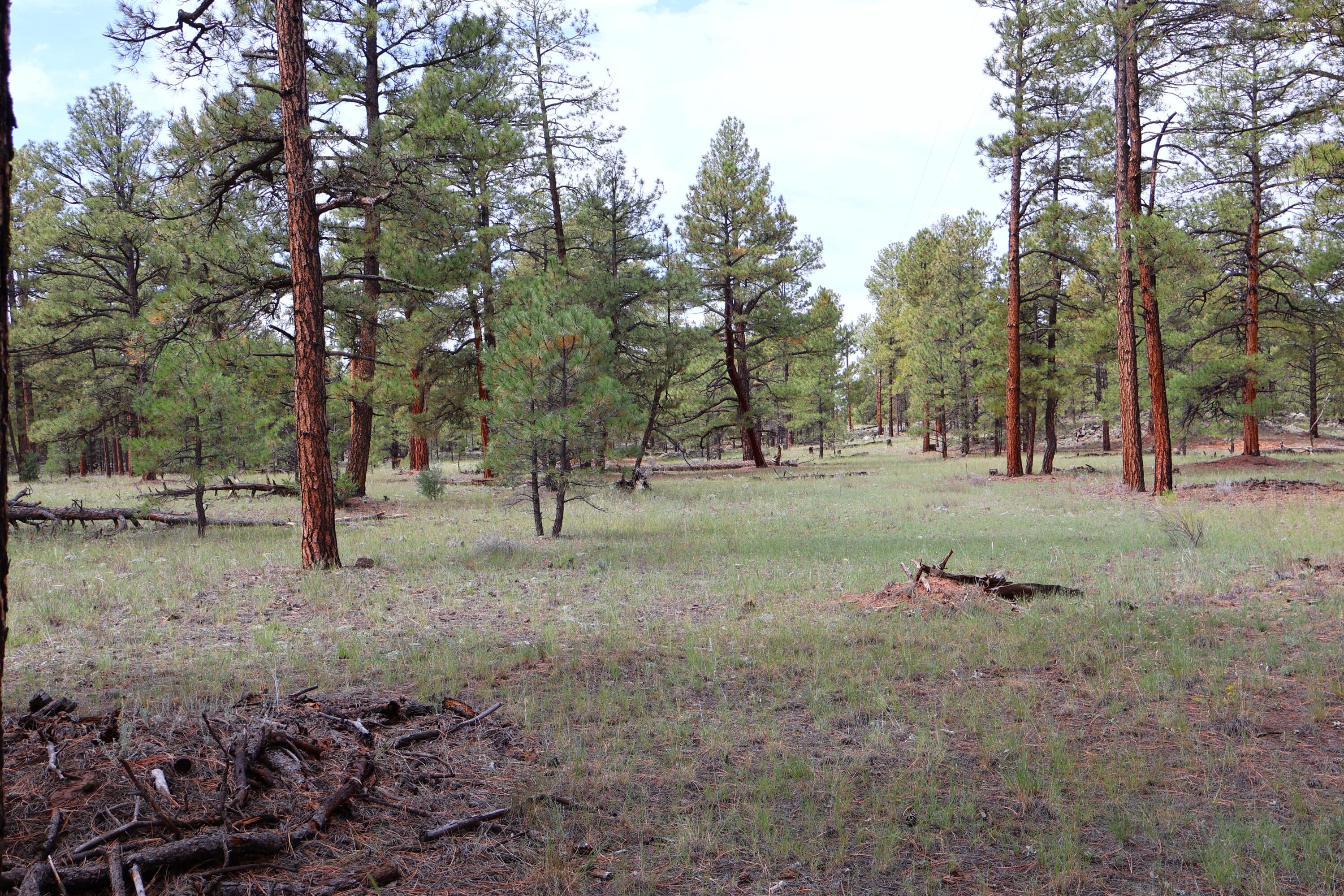 Lot 44 Rhyolite Road Lot 44