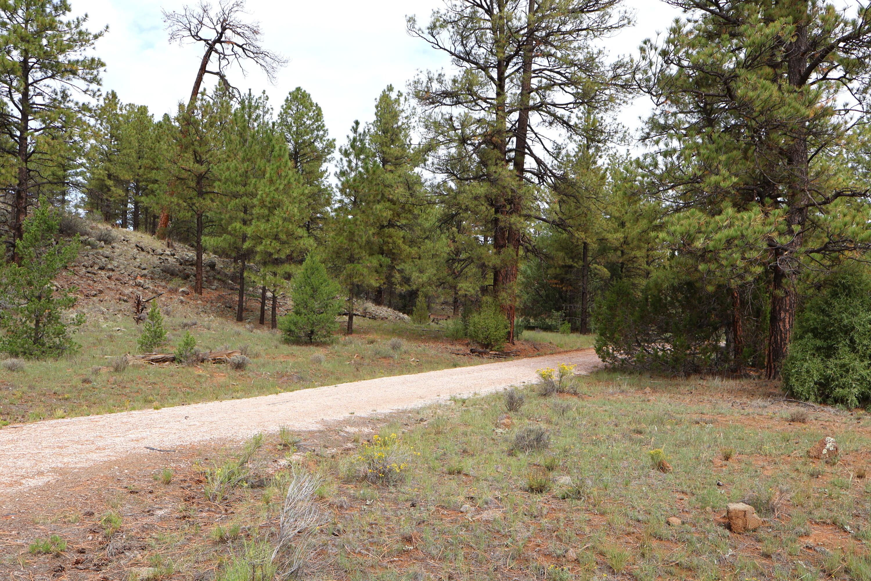 Lot 44 Rhyolite Road Lot 44