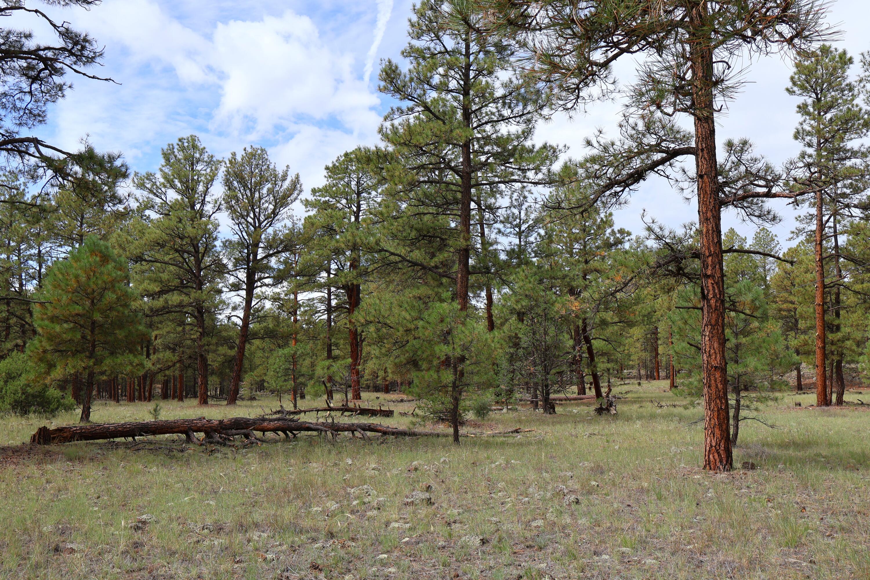 Lot 44 Rhyolite Road Lot 44