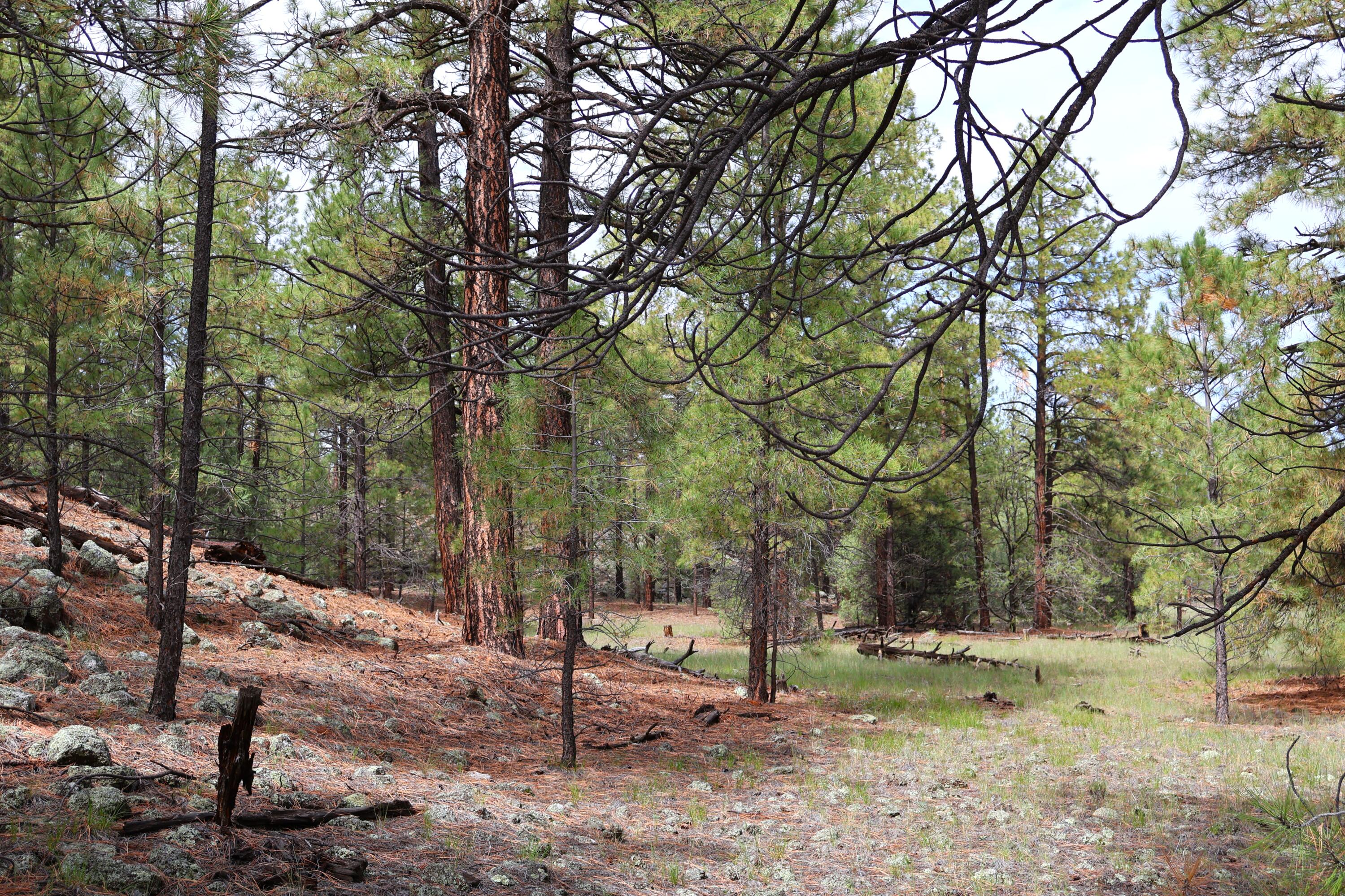 Lot 44 Rhyolite Road Lot 44