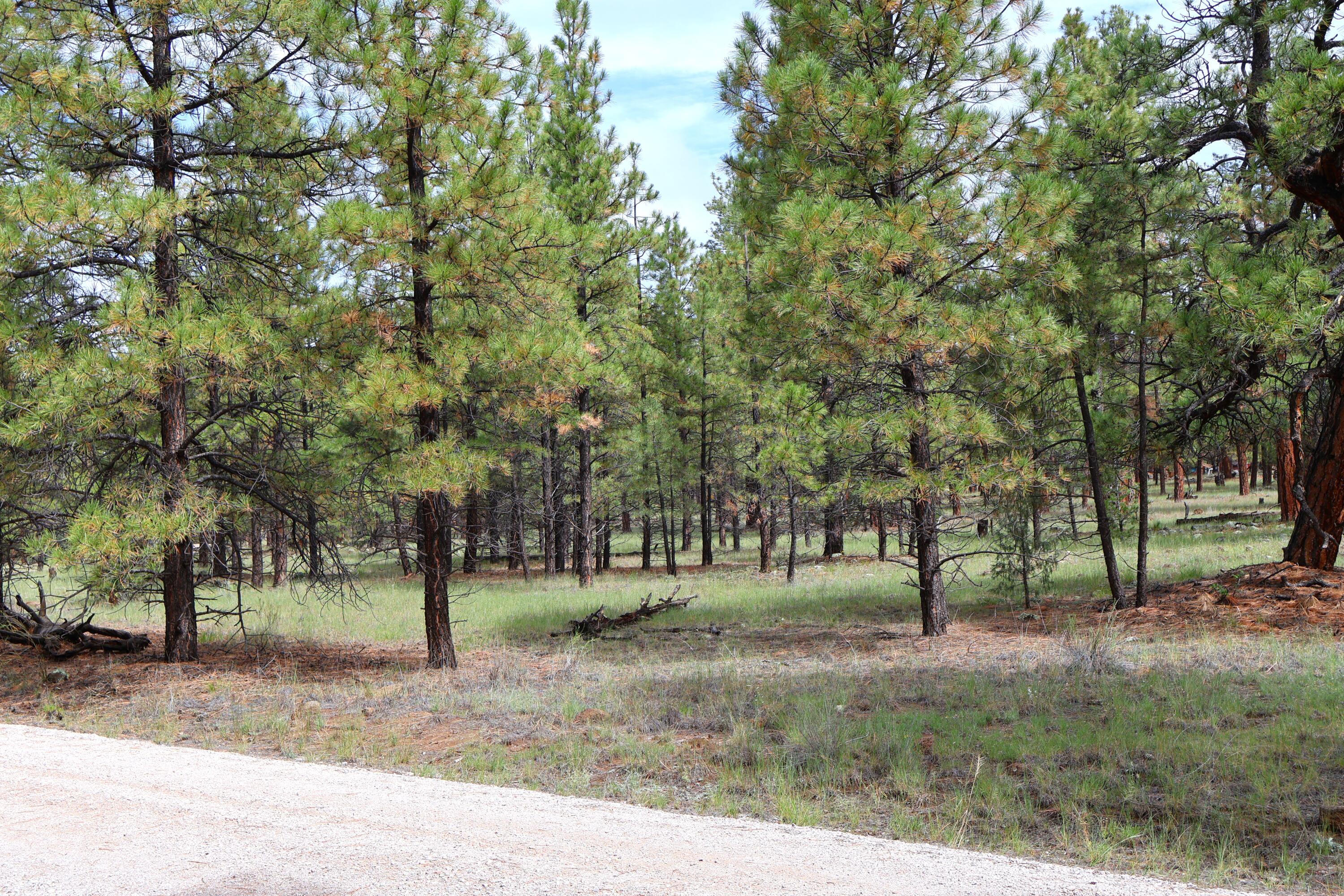 Lot 44 Rhyolite Road Lot 44
