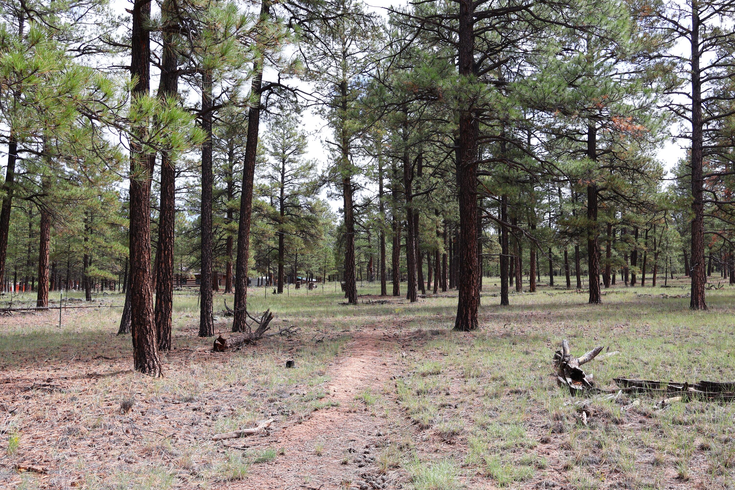 Lot 44 Rhyolite Road Lot 44