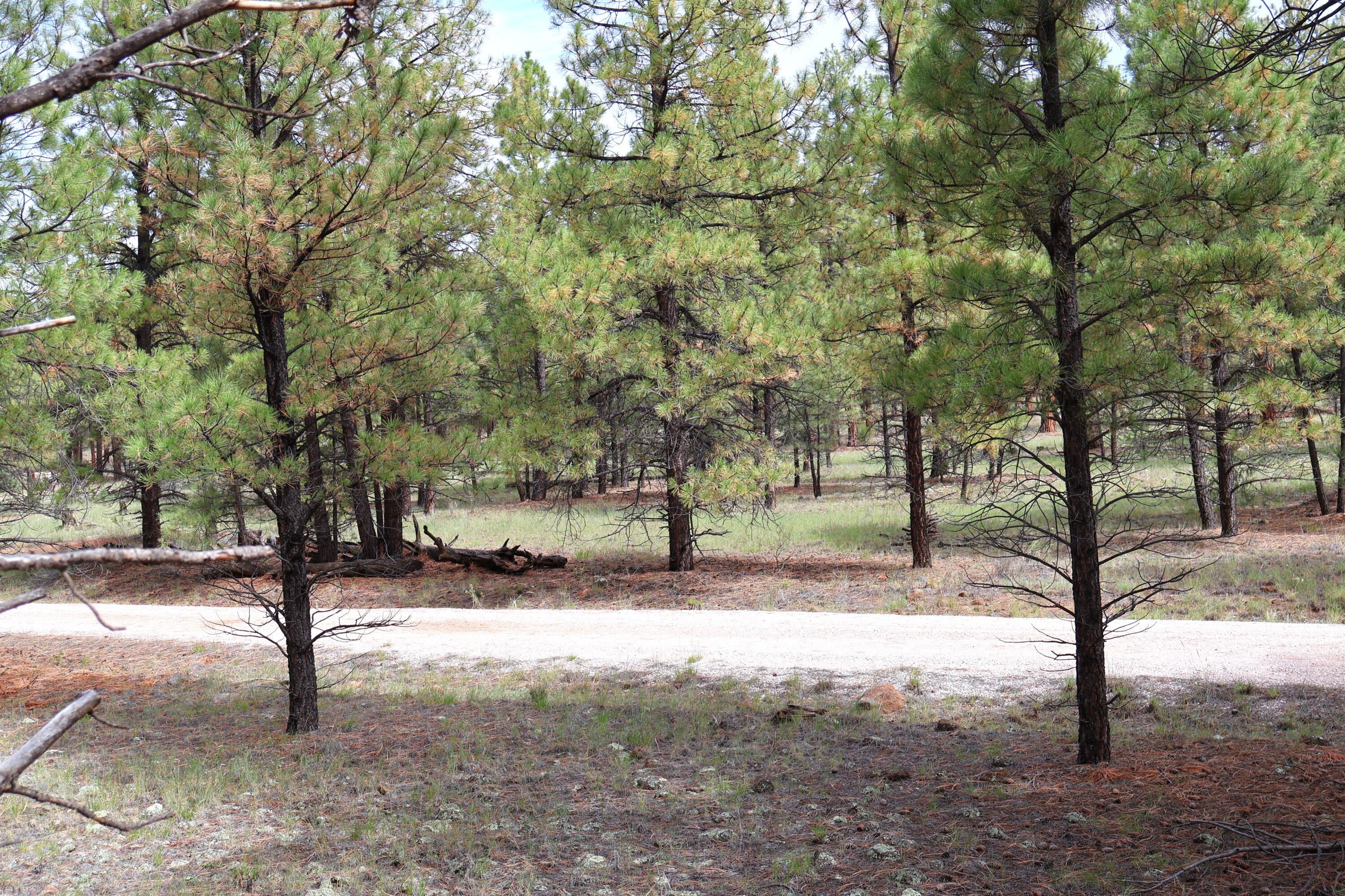 Lot 44 Rhyolite Road Lot 44