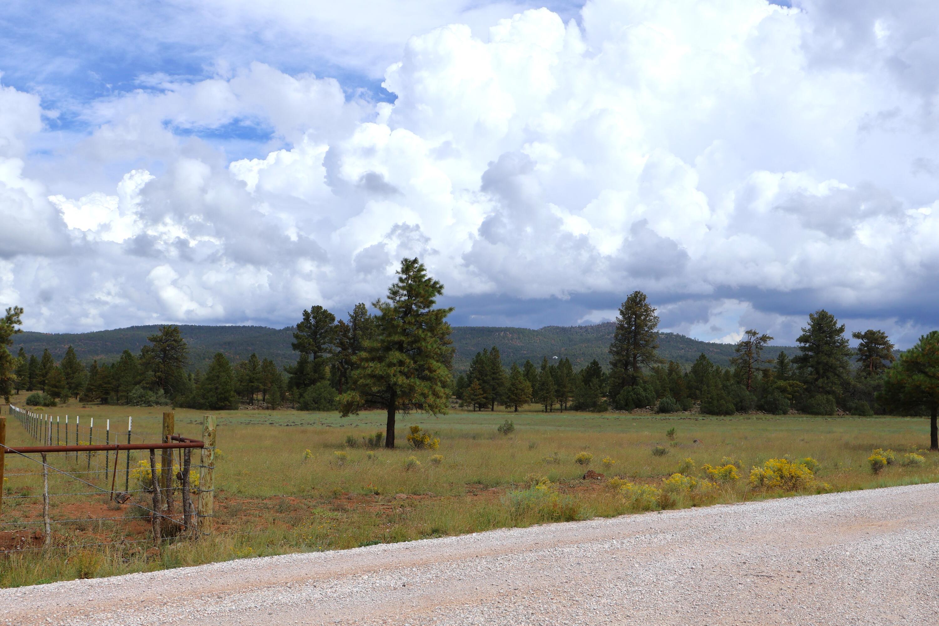 Lot 44 Rhyolite Road Lot 44