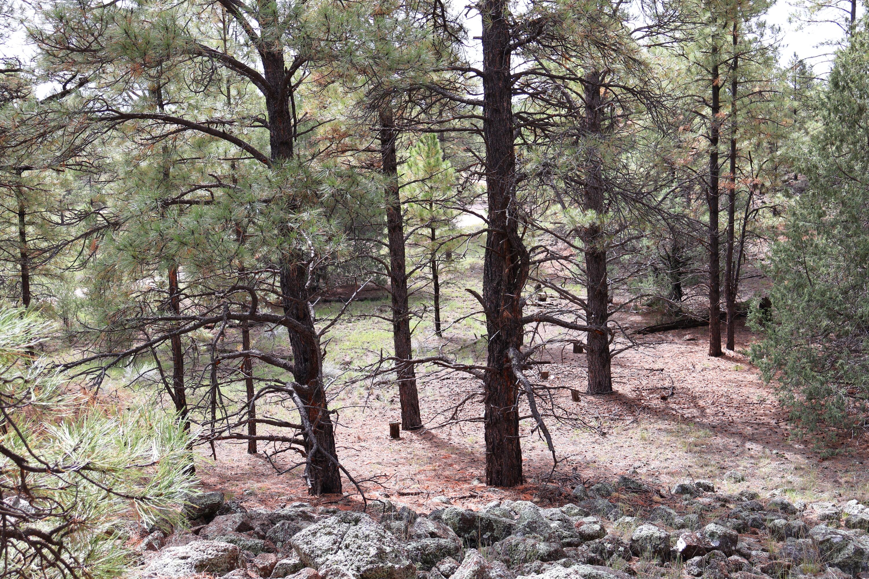 Lot 44 Rhyolite Road Lot 44
