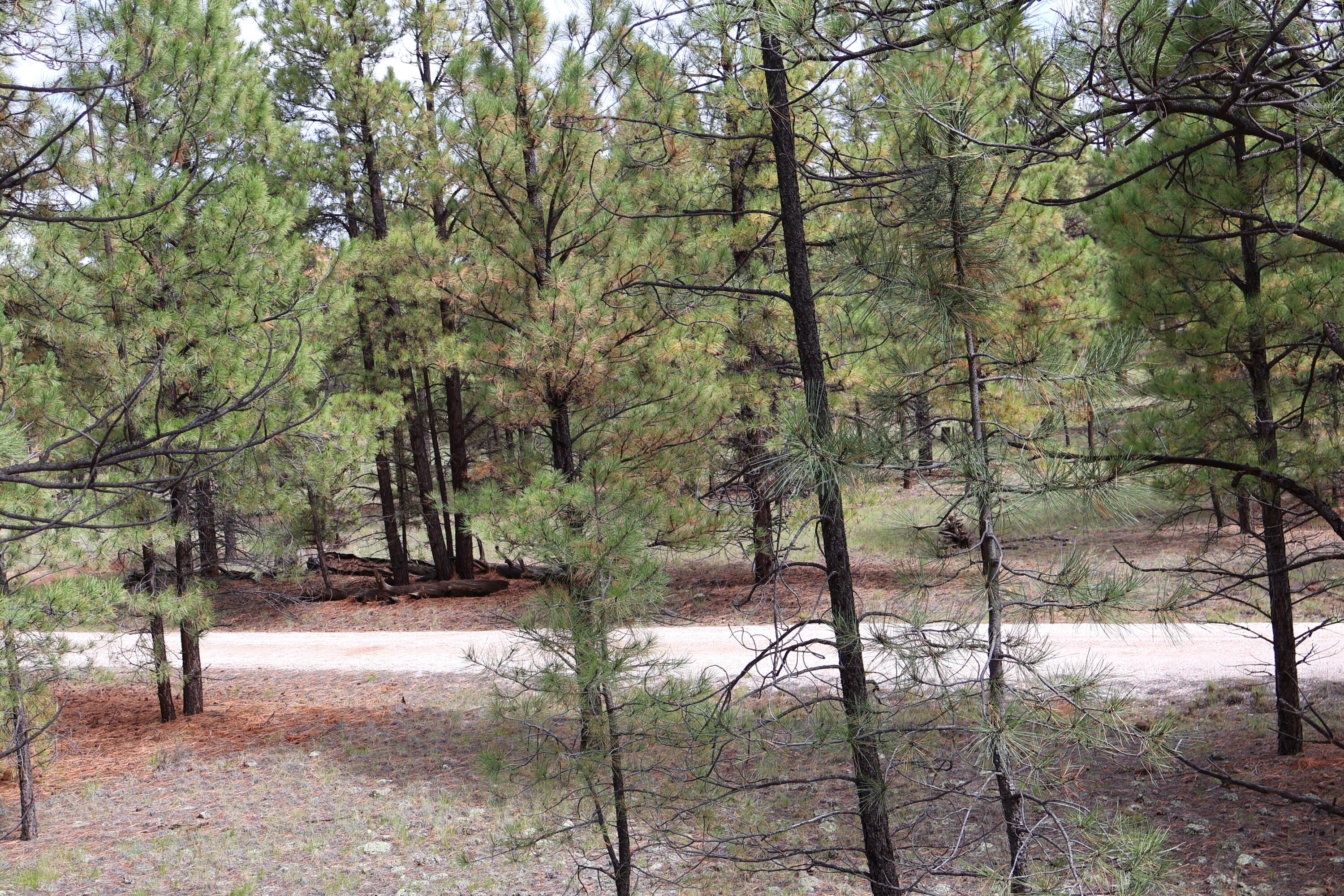 Lot 44 Rhyolite Road Lot 44