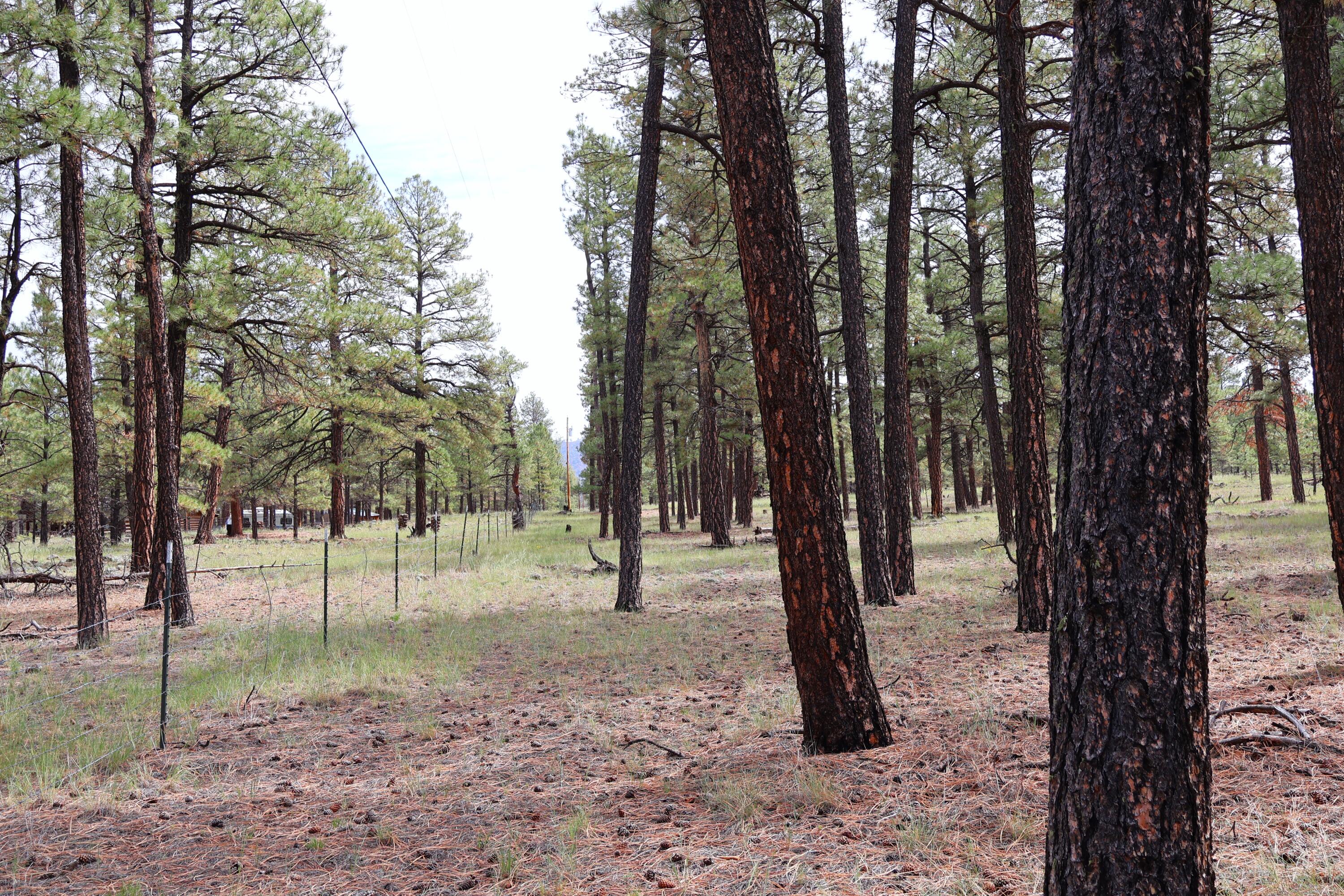 Lot 44 Rhyolite Road Lot 44