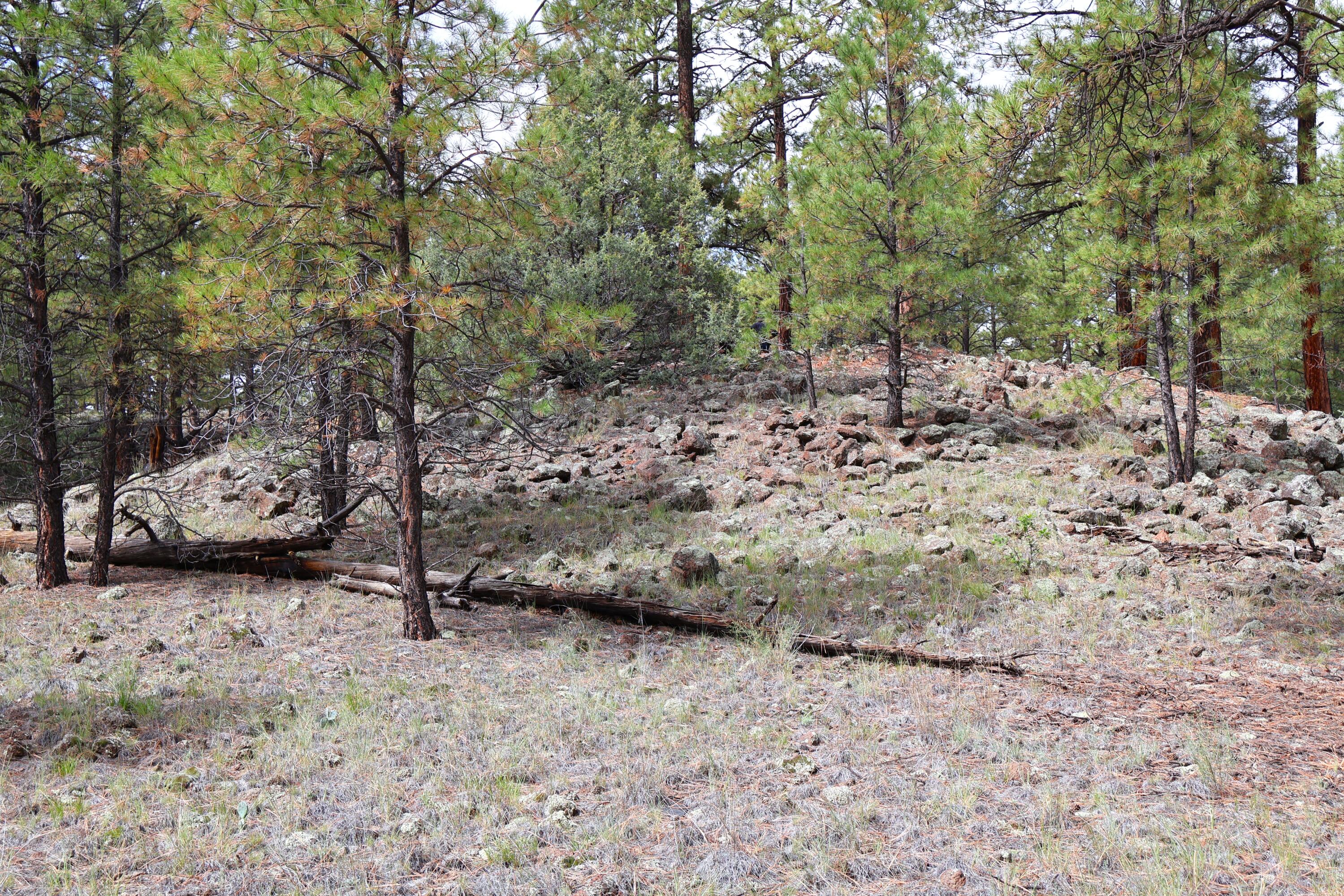 Lot 44 Rhyolite Road Lot 44