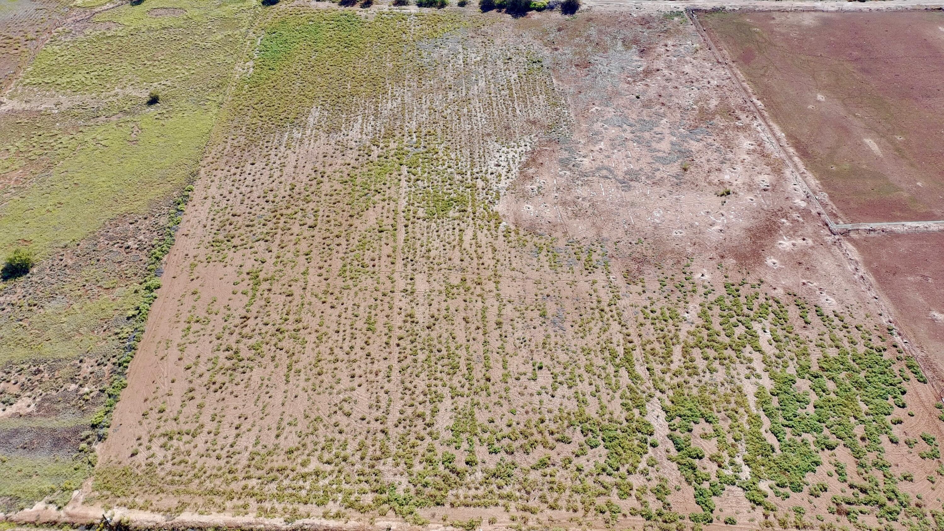 Armijo Road