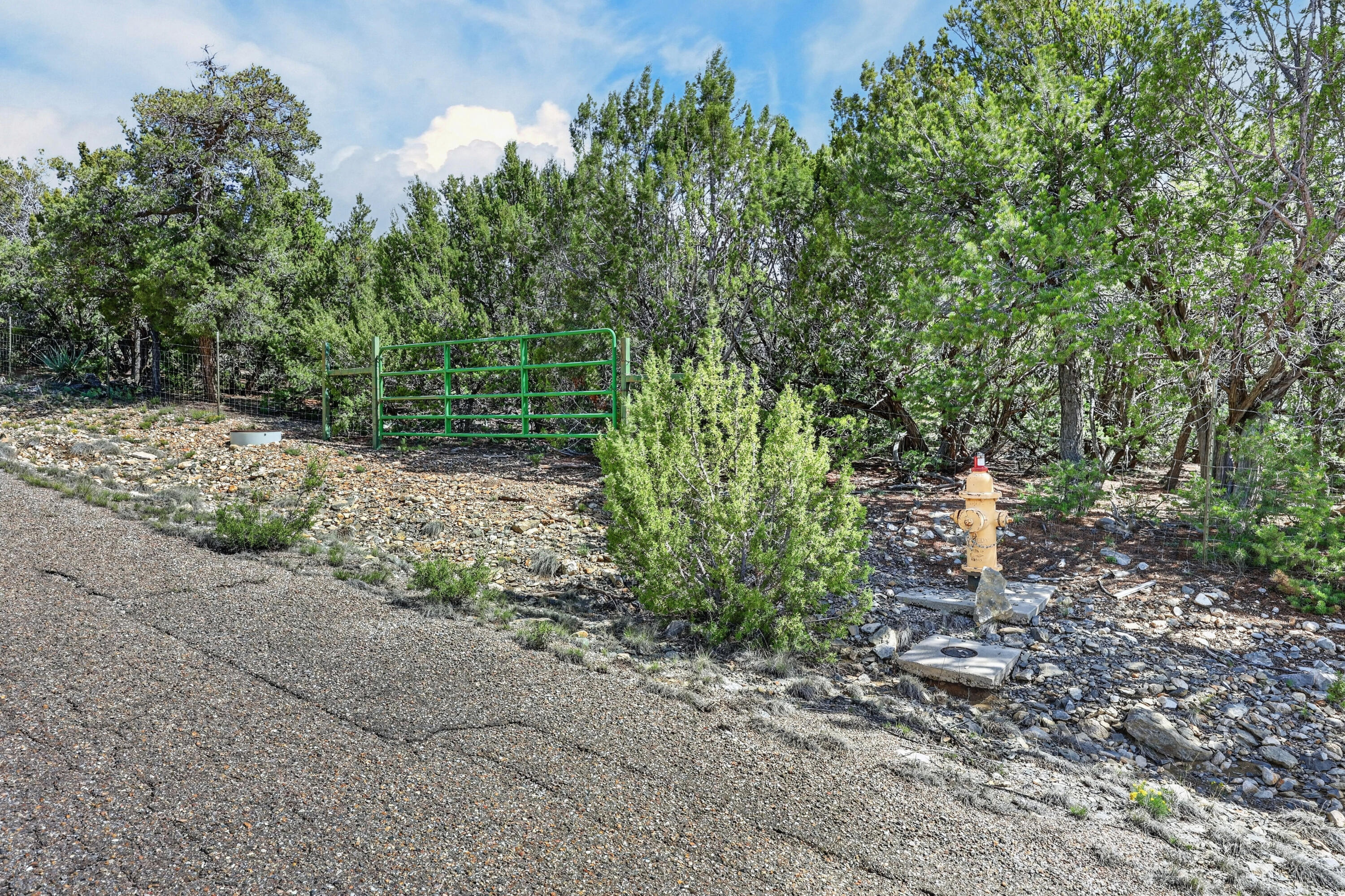 36 Alta Vista Road
