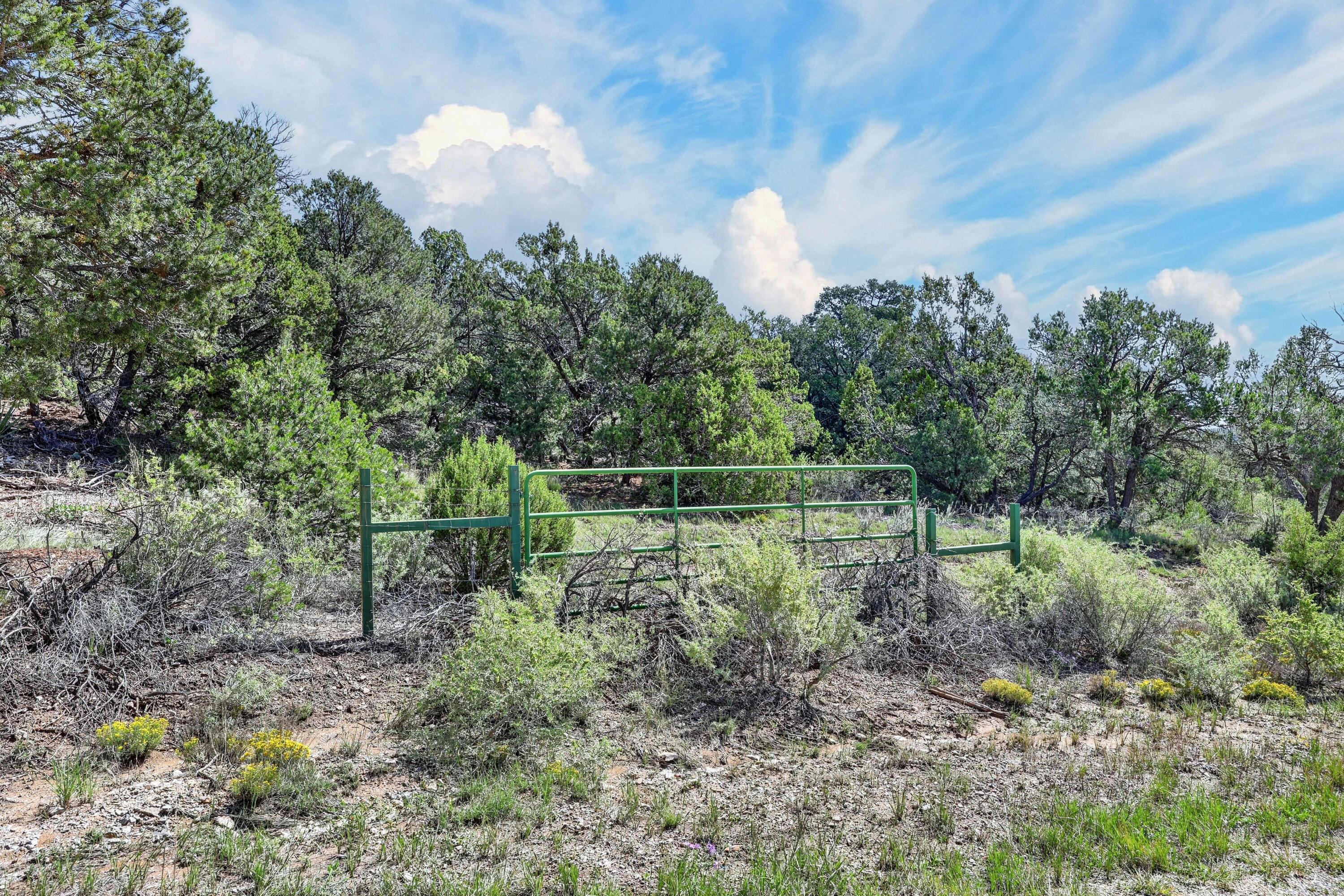 36 Alta Vista Road
