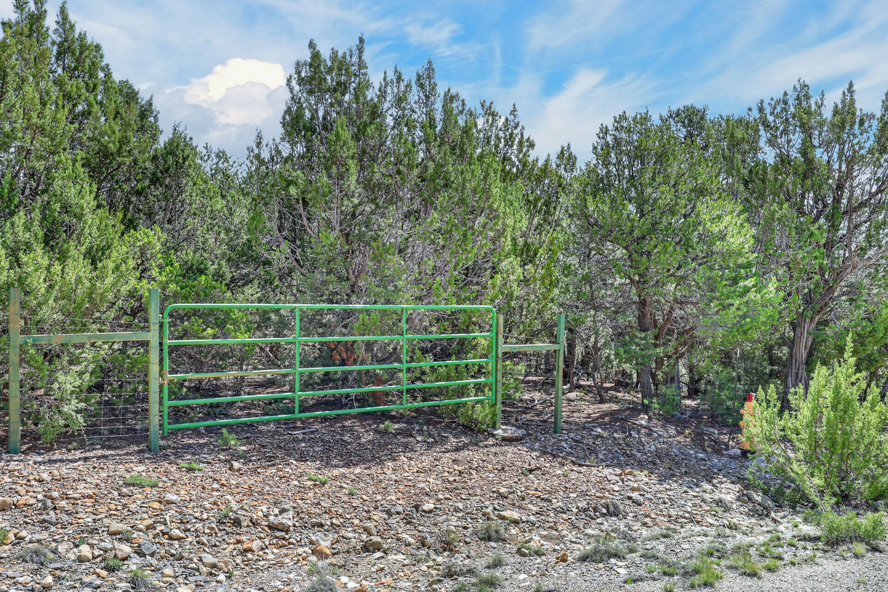 40 Alta Vista Road
