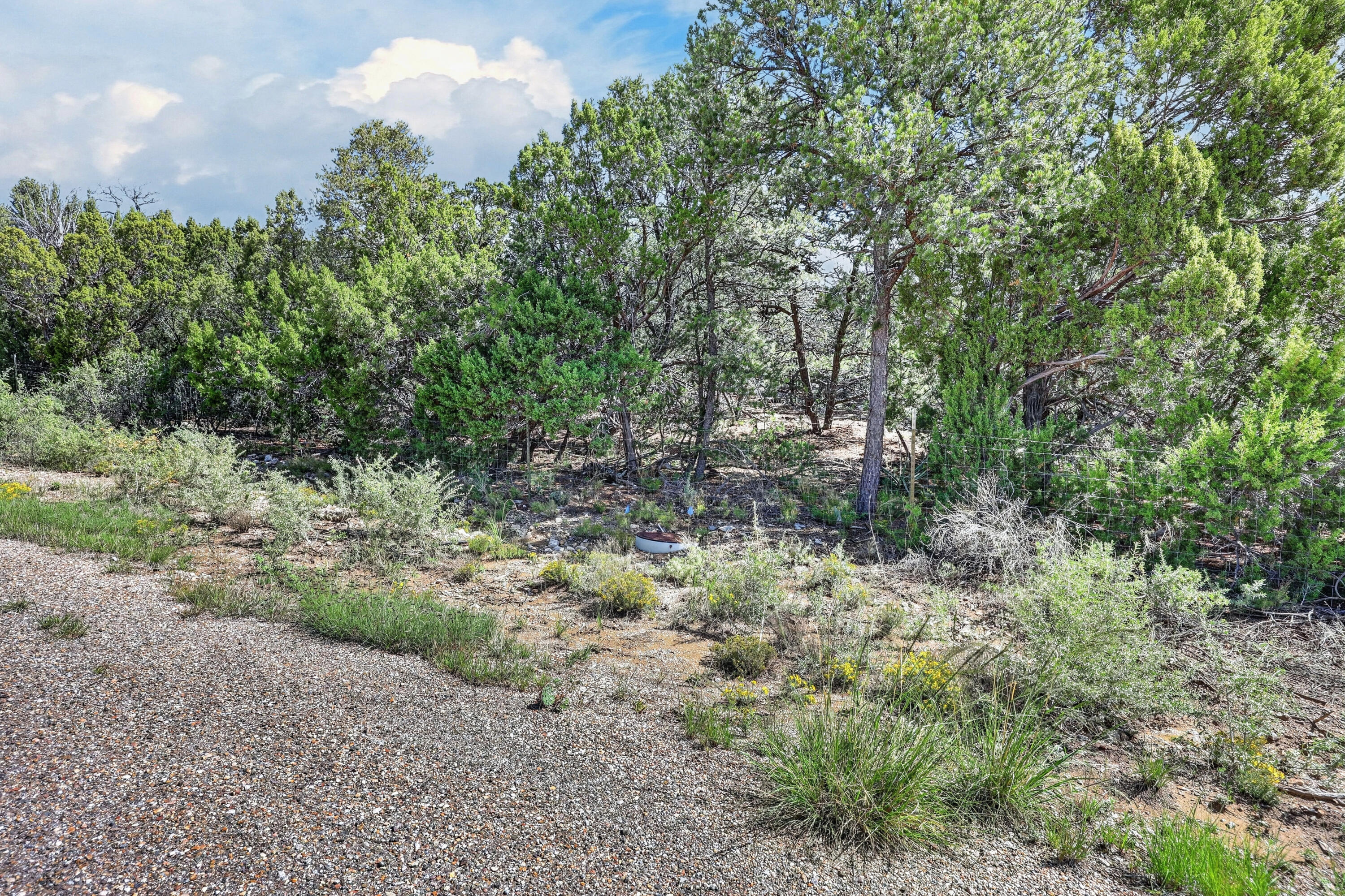 40 Alta Vista Road