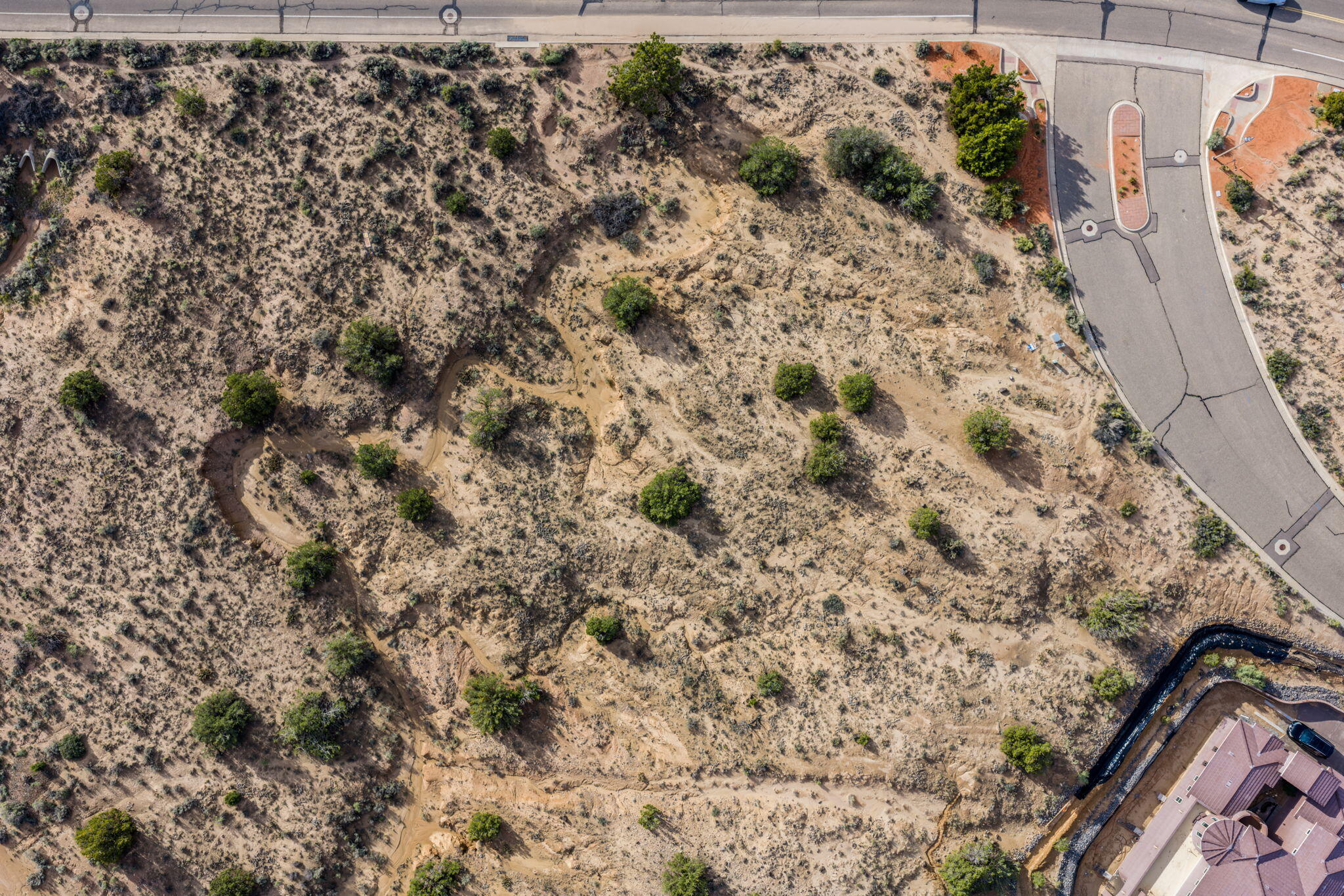 2403 Desert Zinnia Road