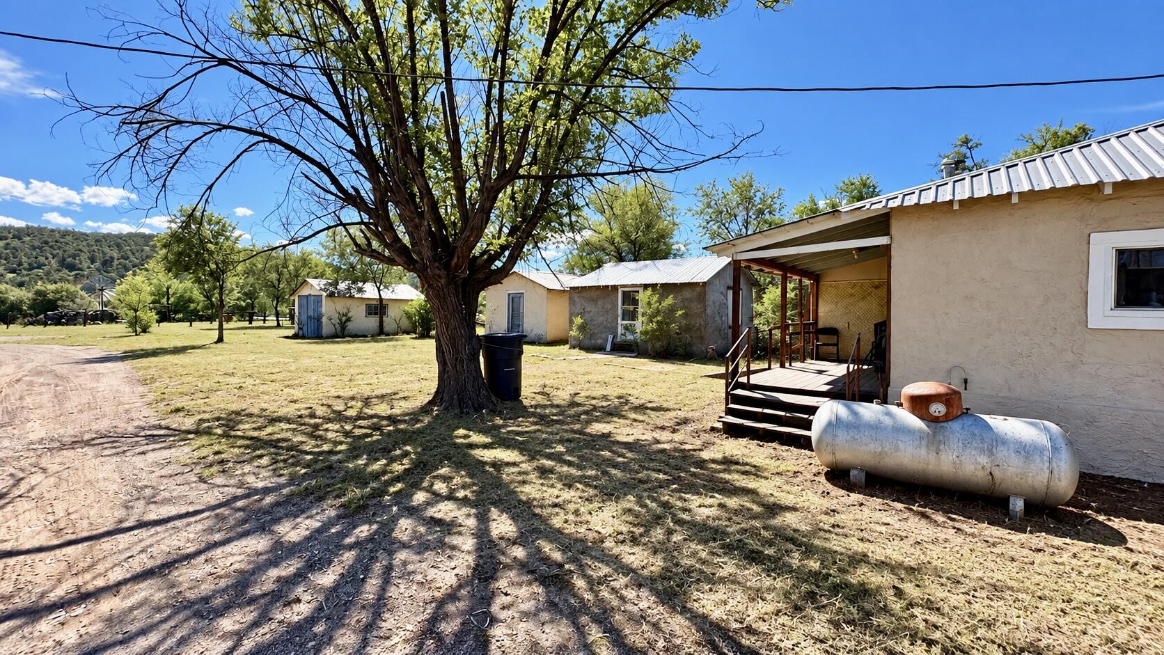 16 Orchid Street