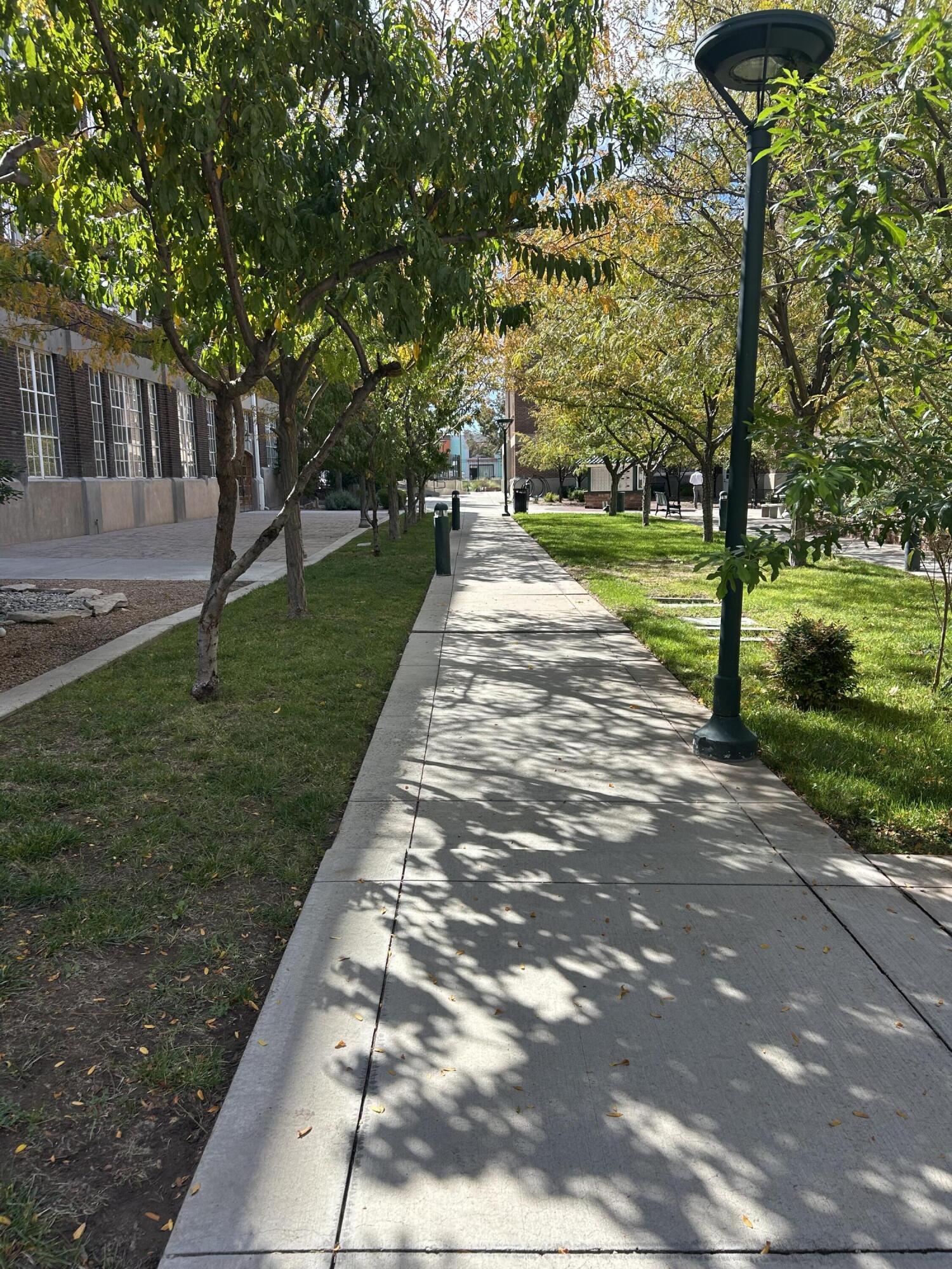 300 Tijeras Avenue NE APT 202
