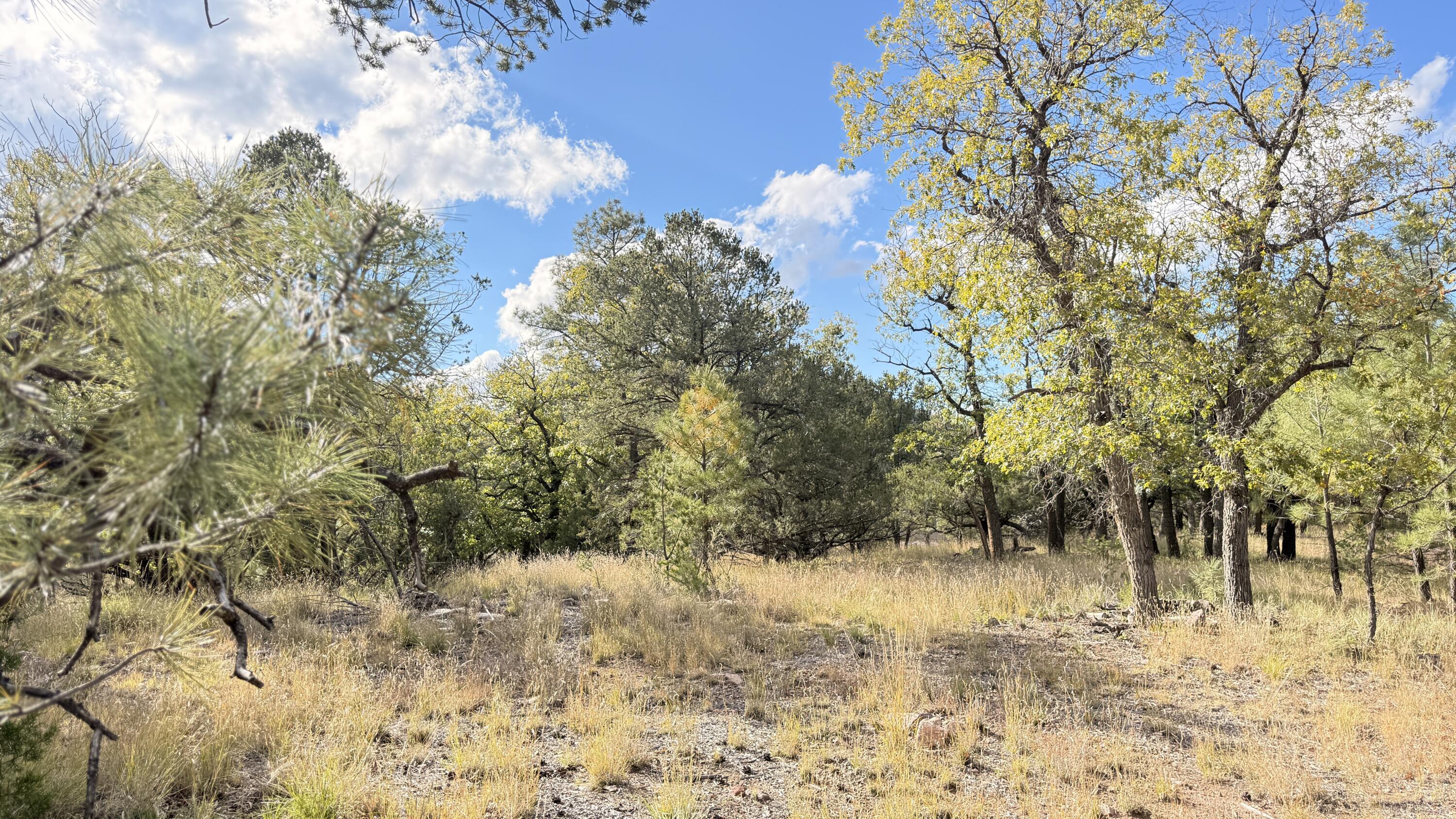 16 Canyon Oaks Pass