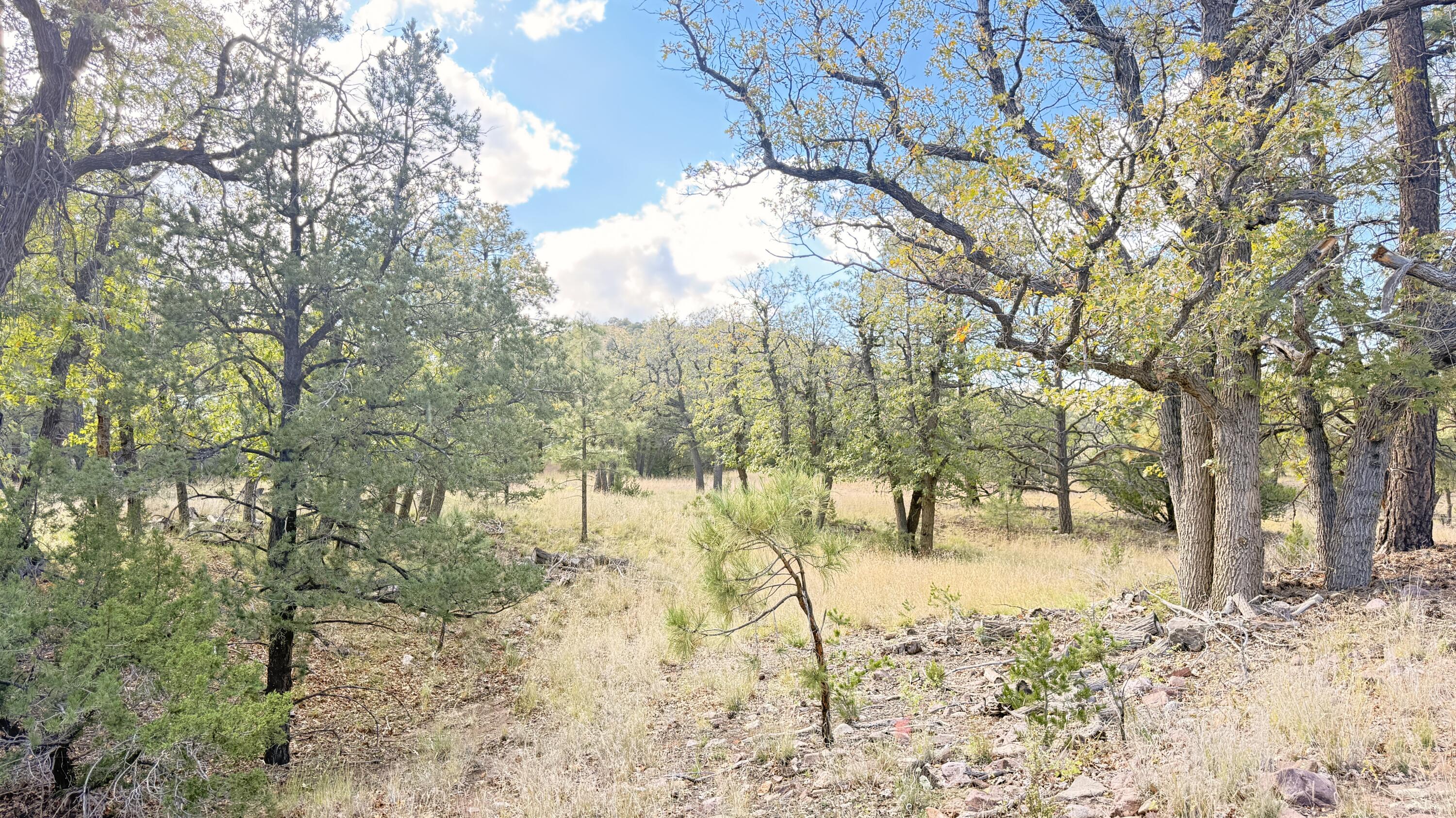 16 Canyon Oaks Pass