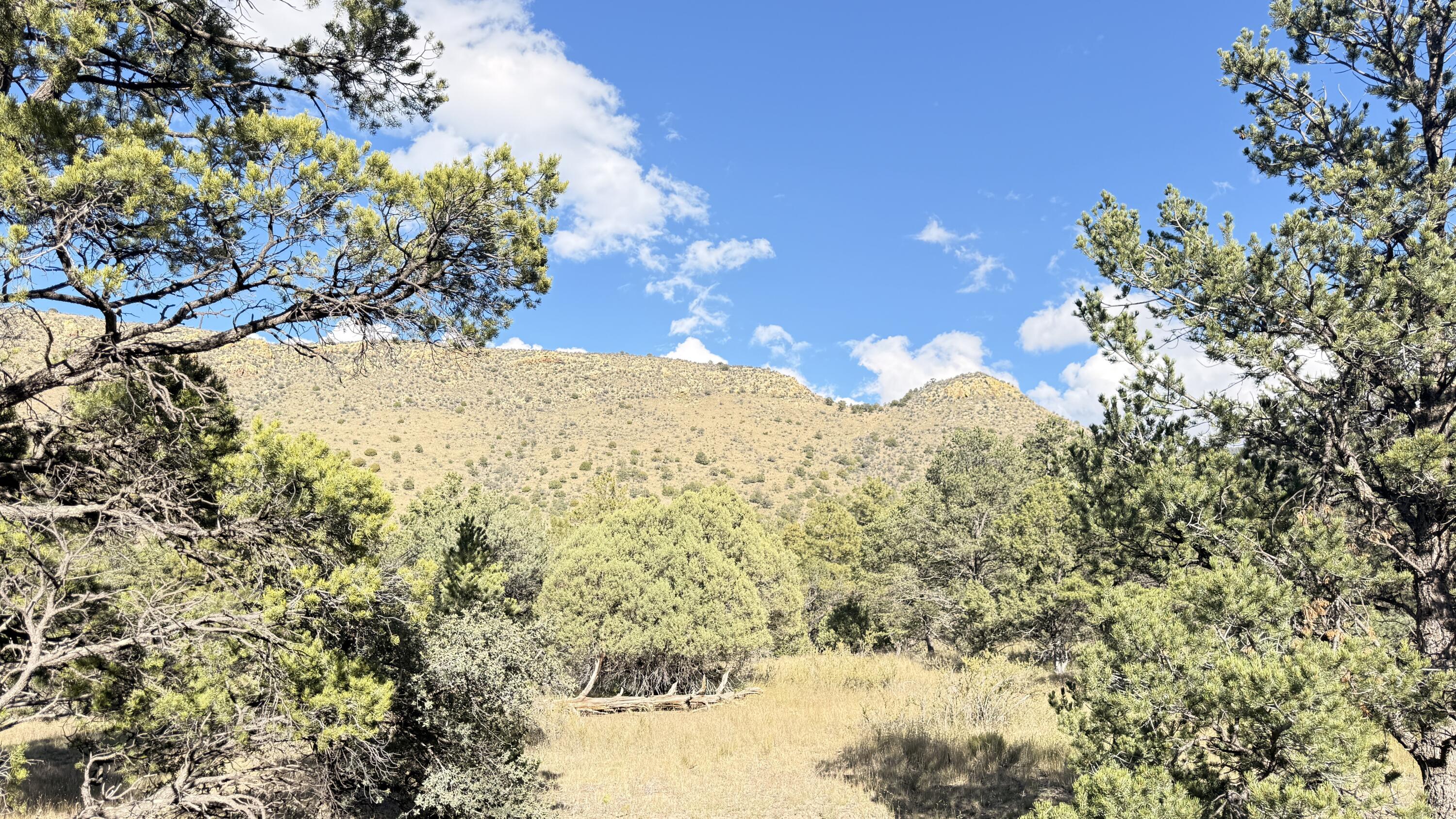 16 Canyon Oaks Pass