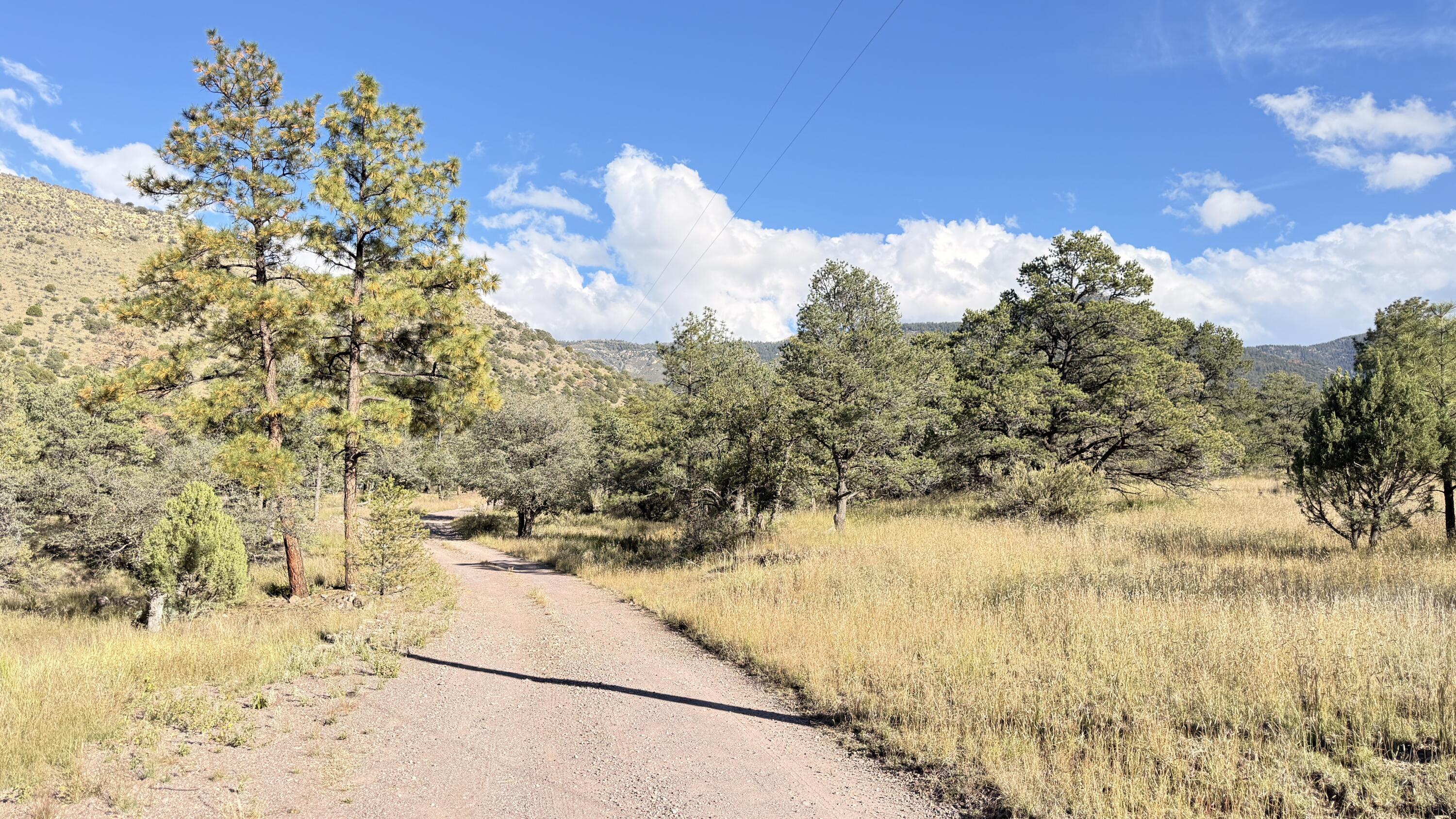 16 Canyon Oaks Pass