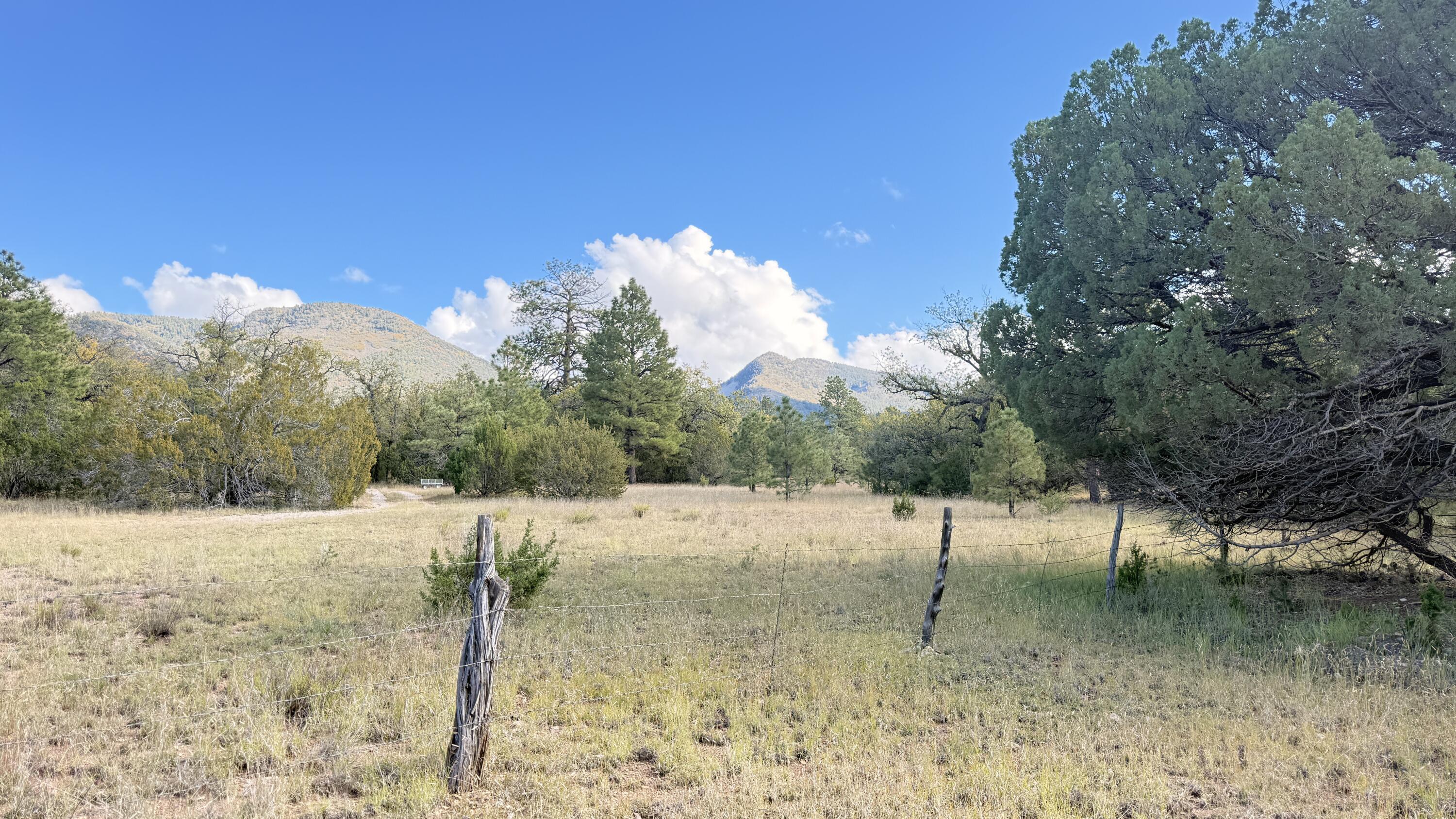 16 Canyon Oaks Pass
