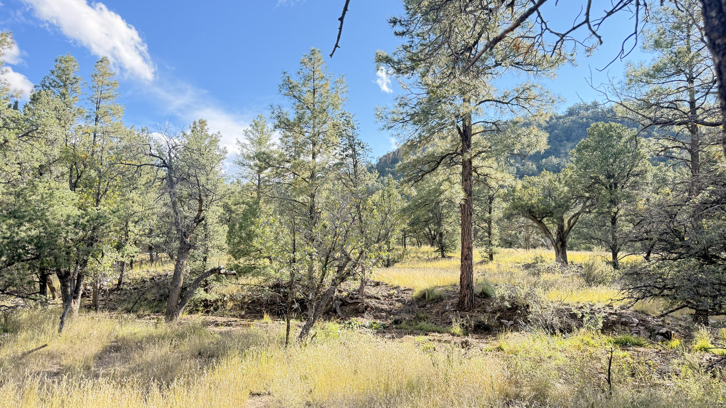 16 Canyon Oaks Pass
