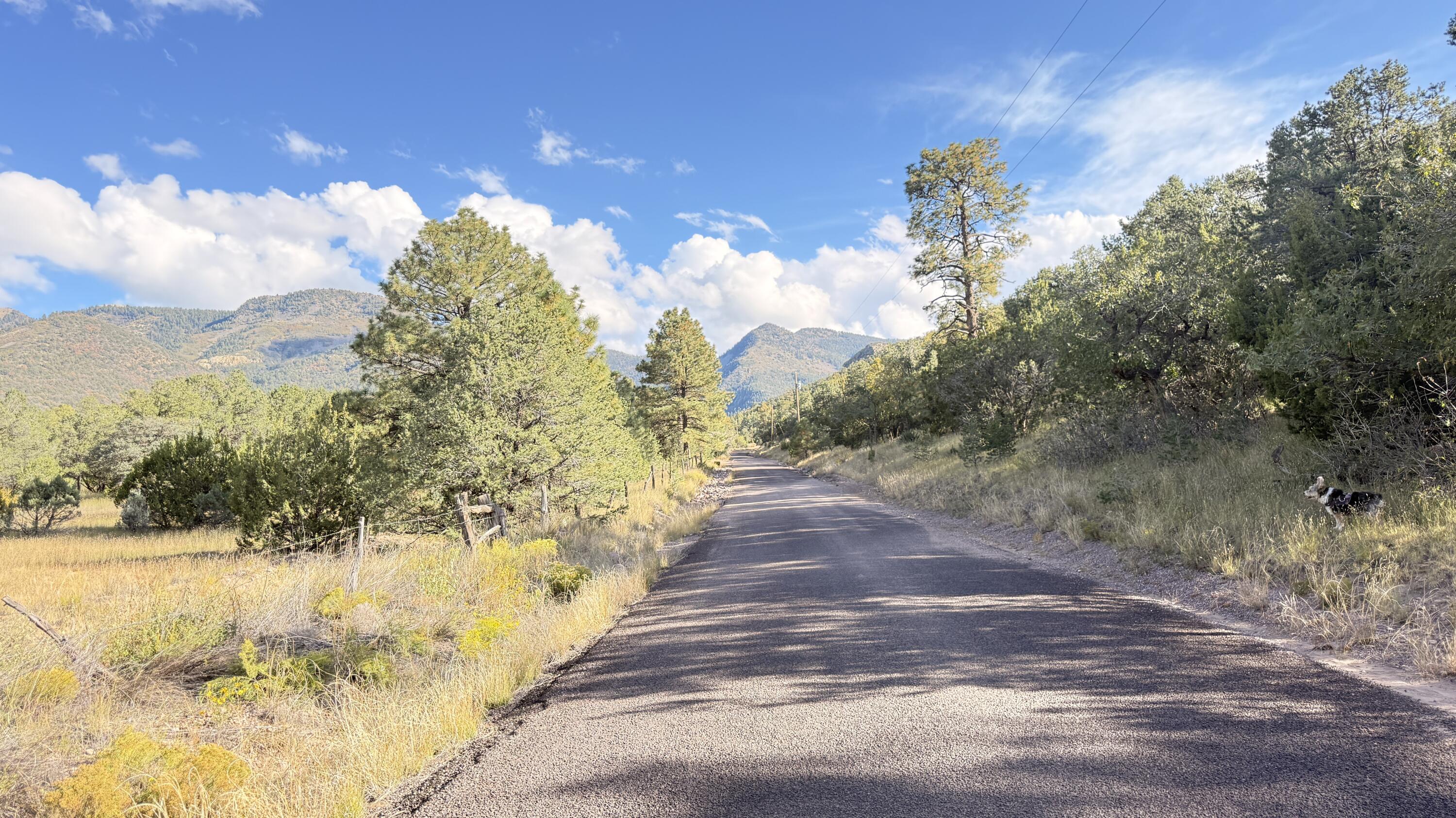 16 Canyon Oaks Pass