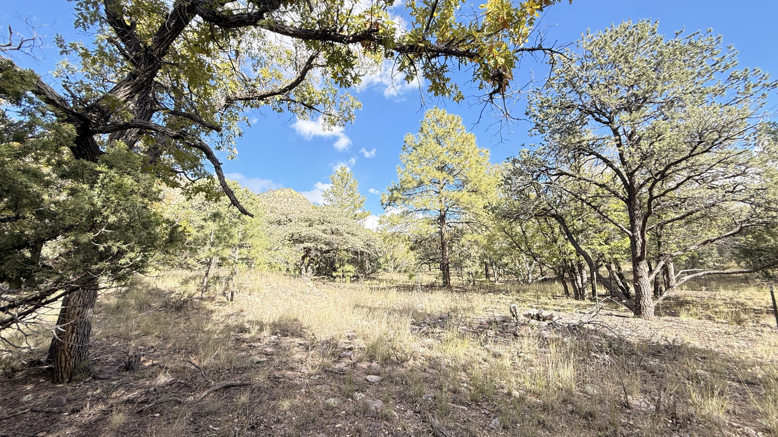 16 Canyon Oaks Pass