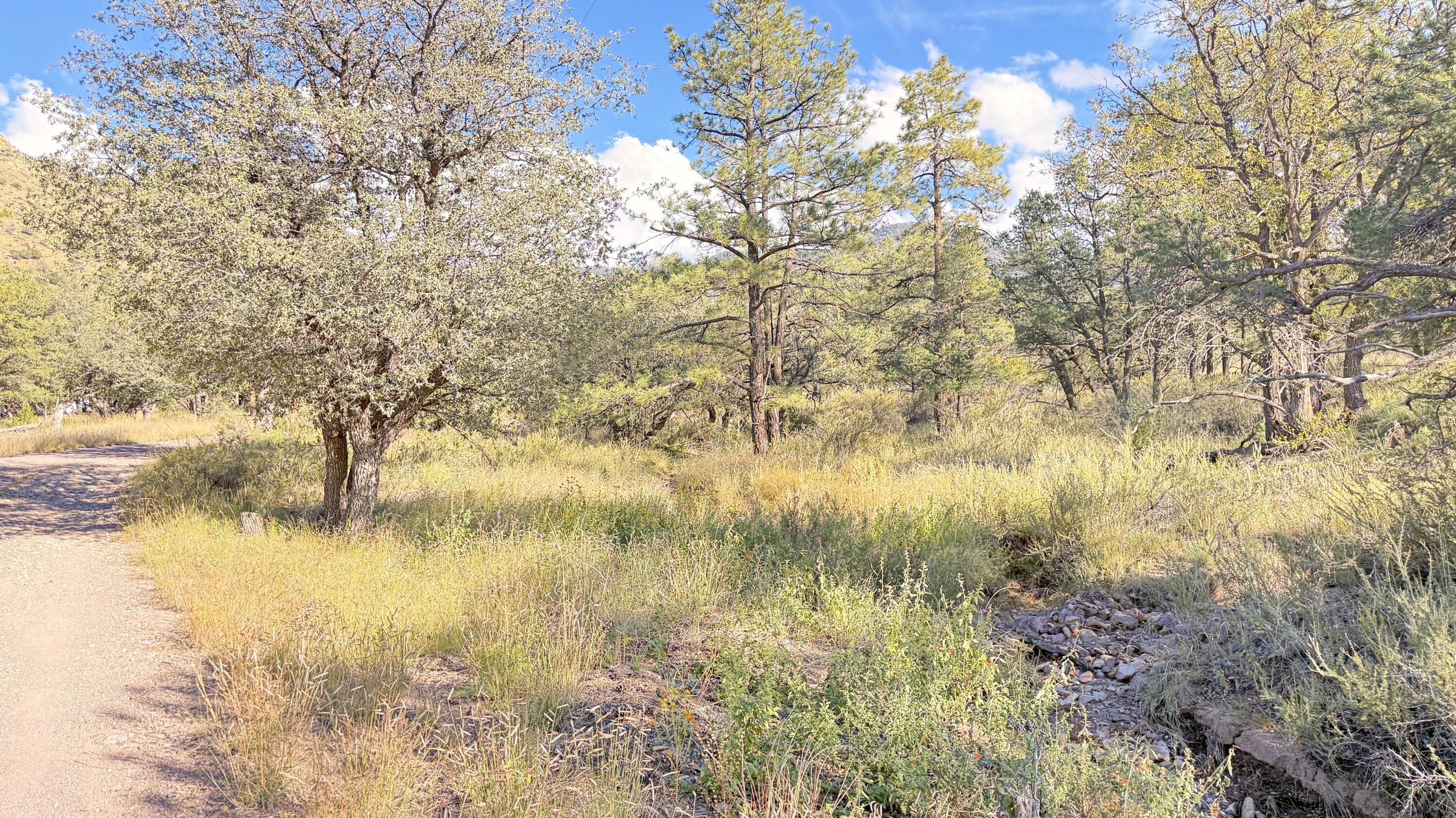 16 Canyon Oaks Pass