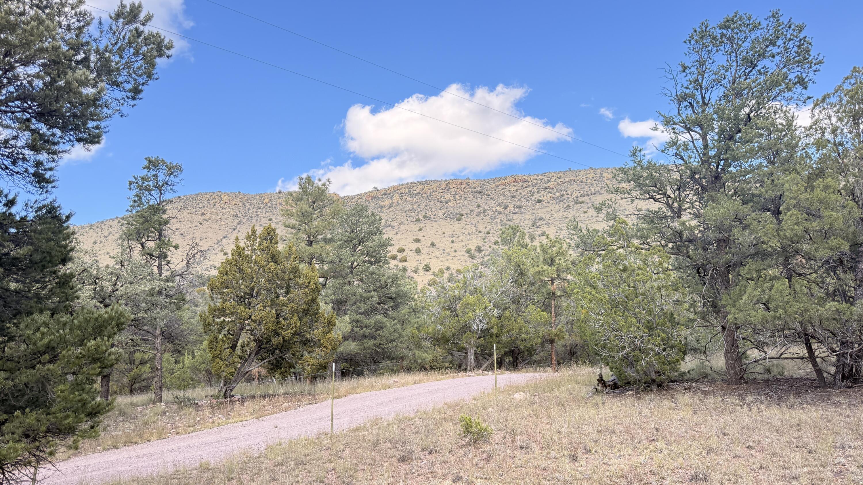 16 Canyon Oaks Pass