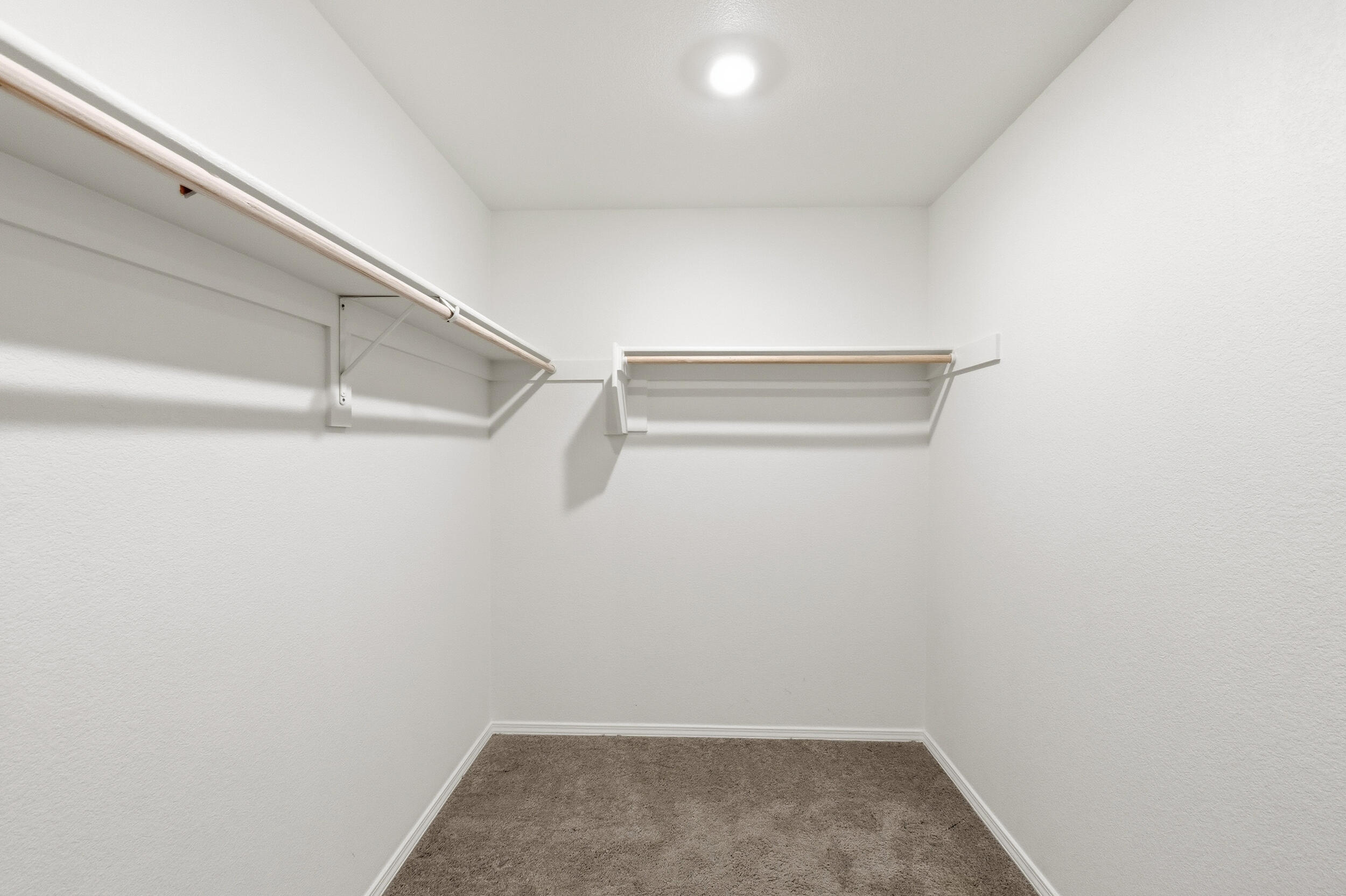 2520 Desi Loop