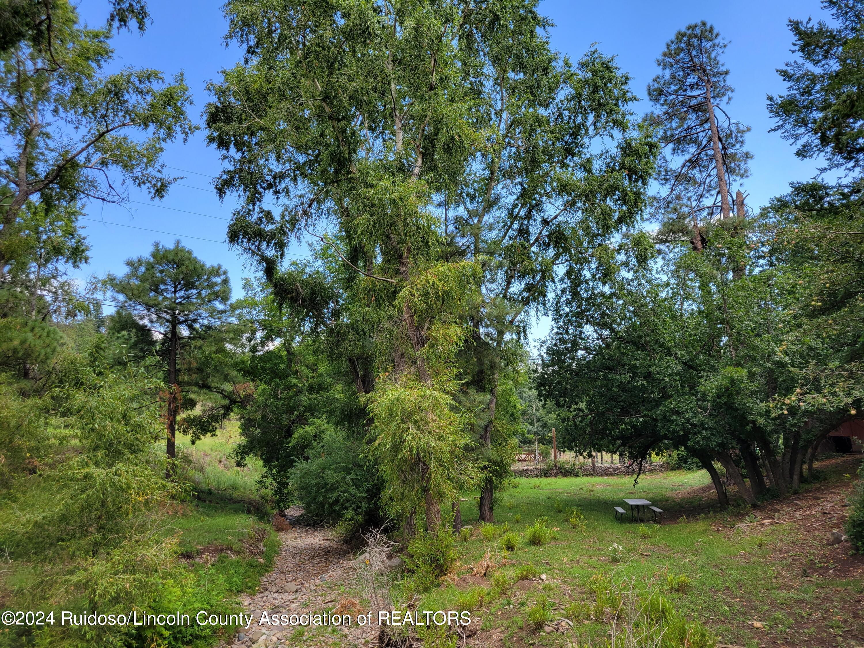 175 Ski Run Road, 306