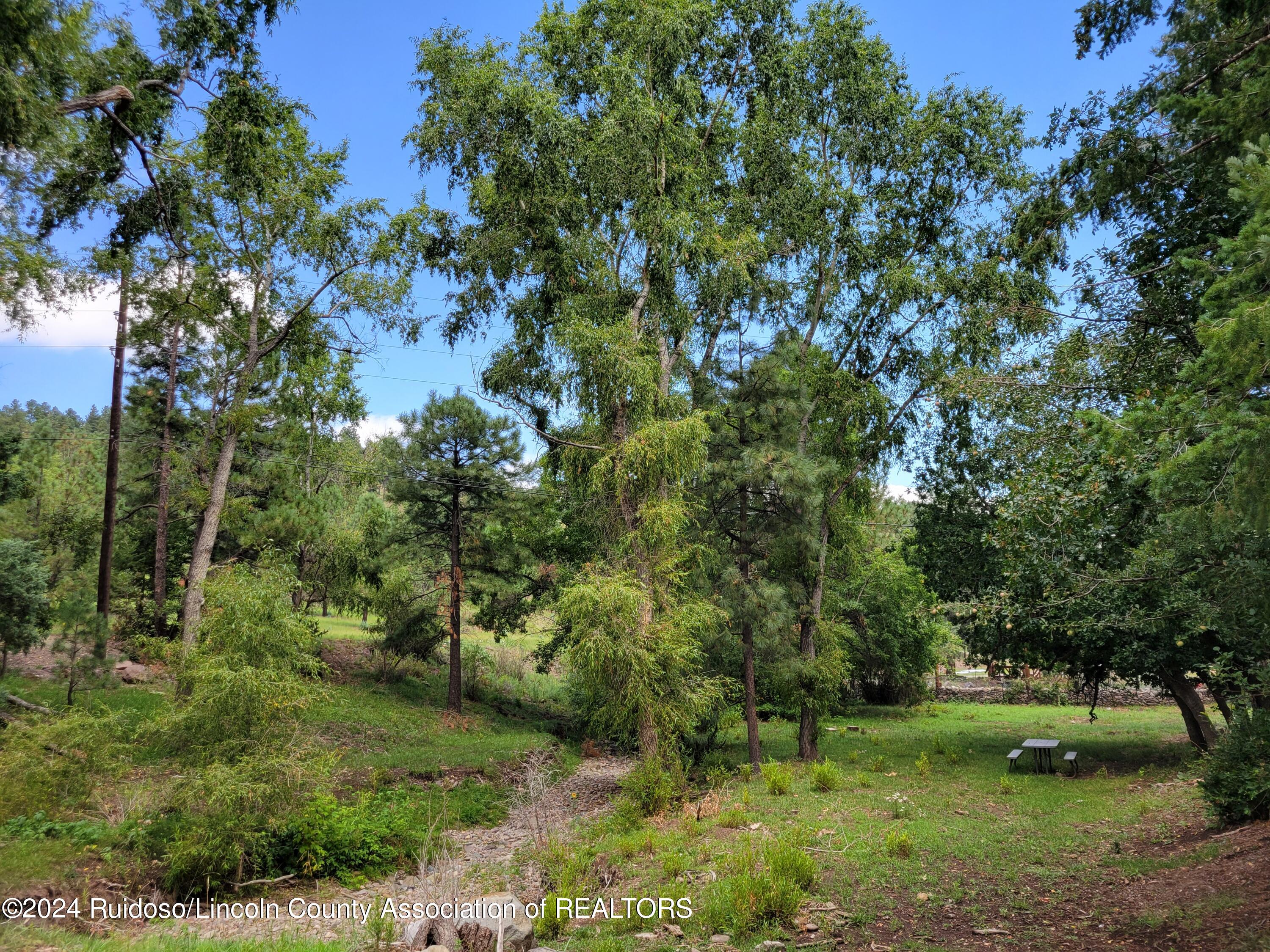 175 Ski Run Road, 306