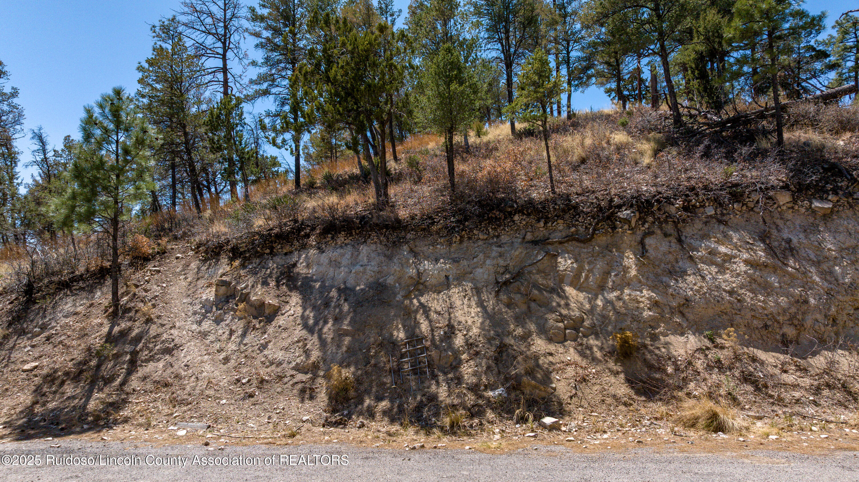 107 Worchester Drive