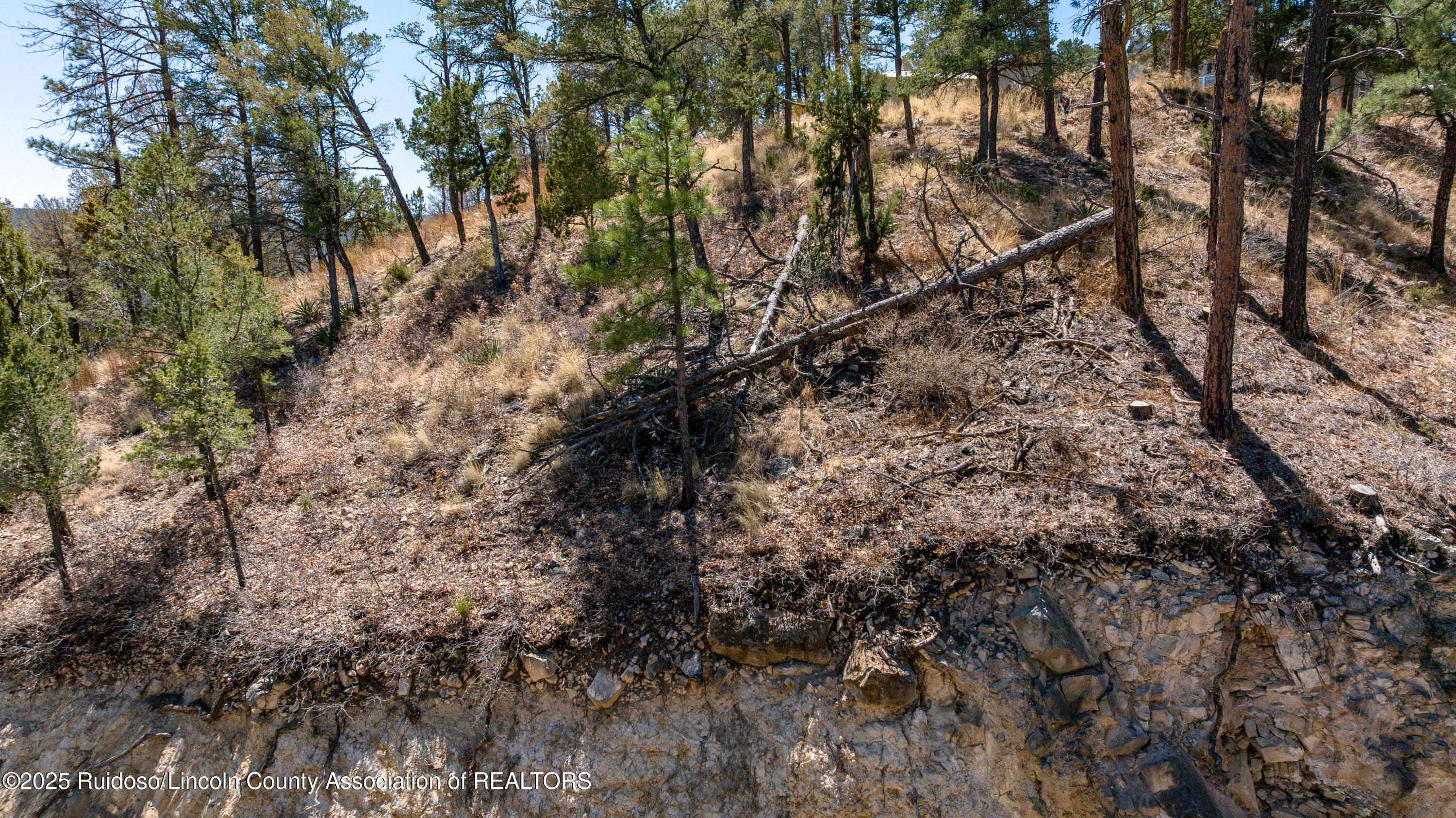 107 Worchester Drive