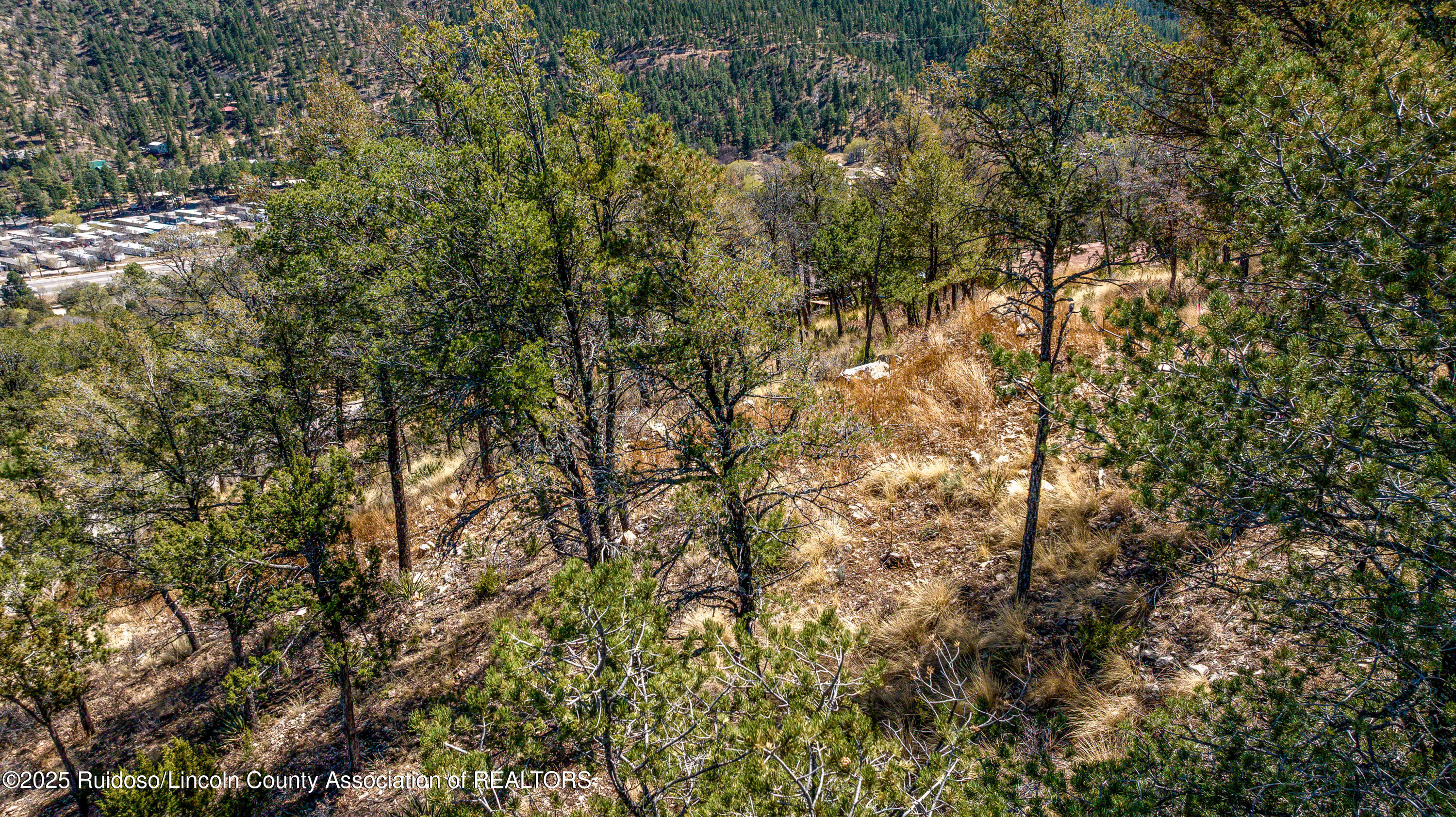 107 Worchester Drive