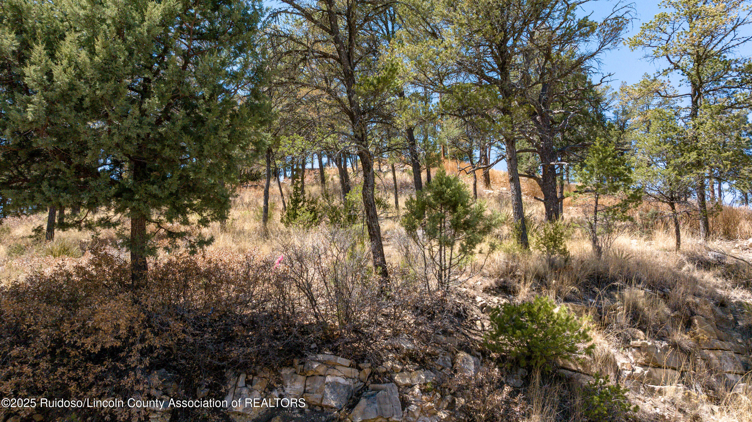 107 Worchester Drive