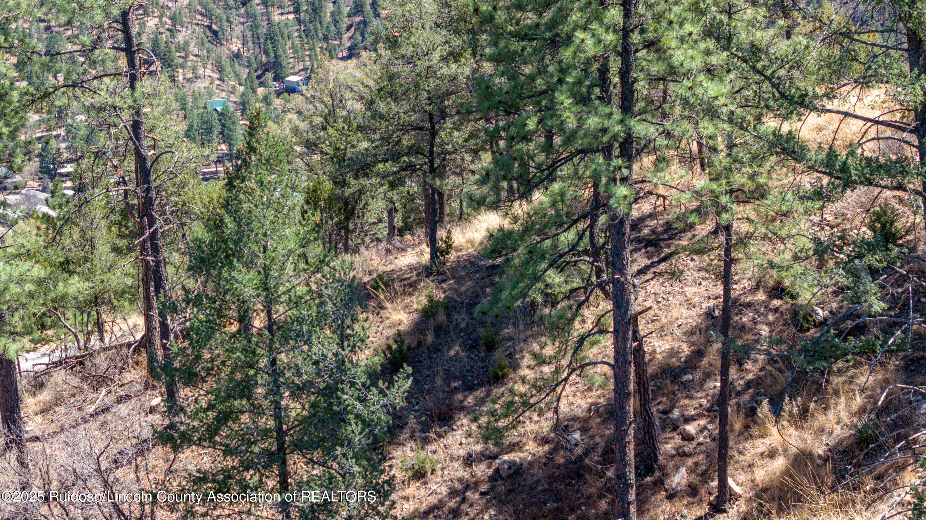 107 Worchester Drive