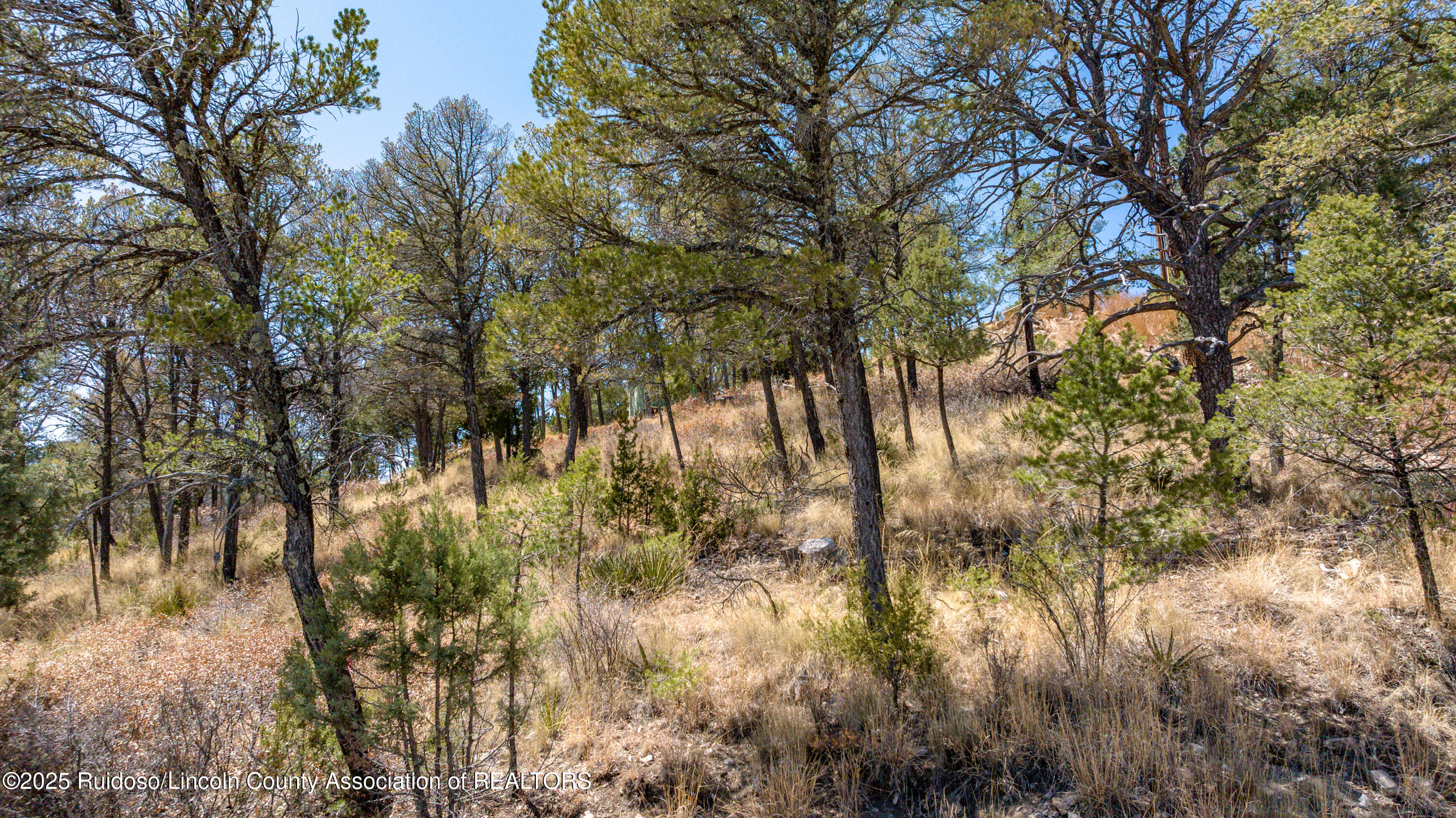 107 Worchester Drive